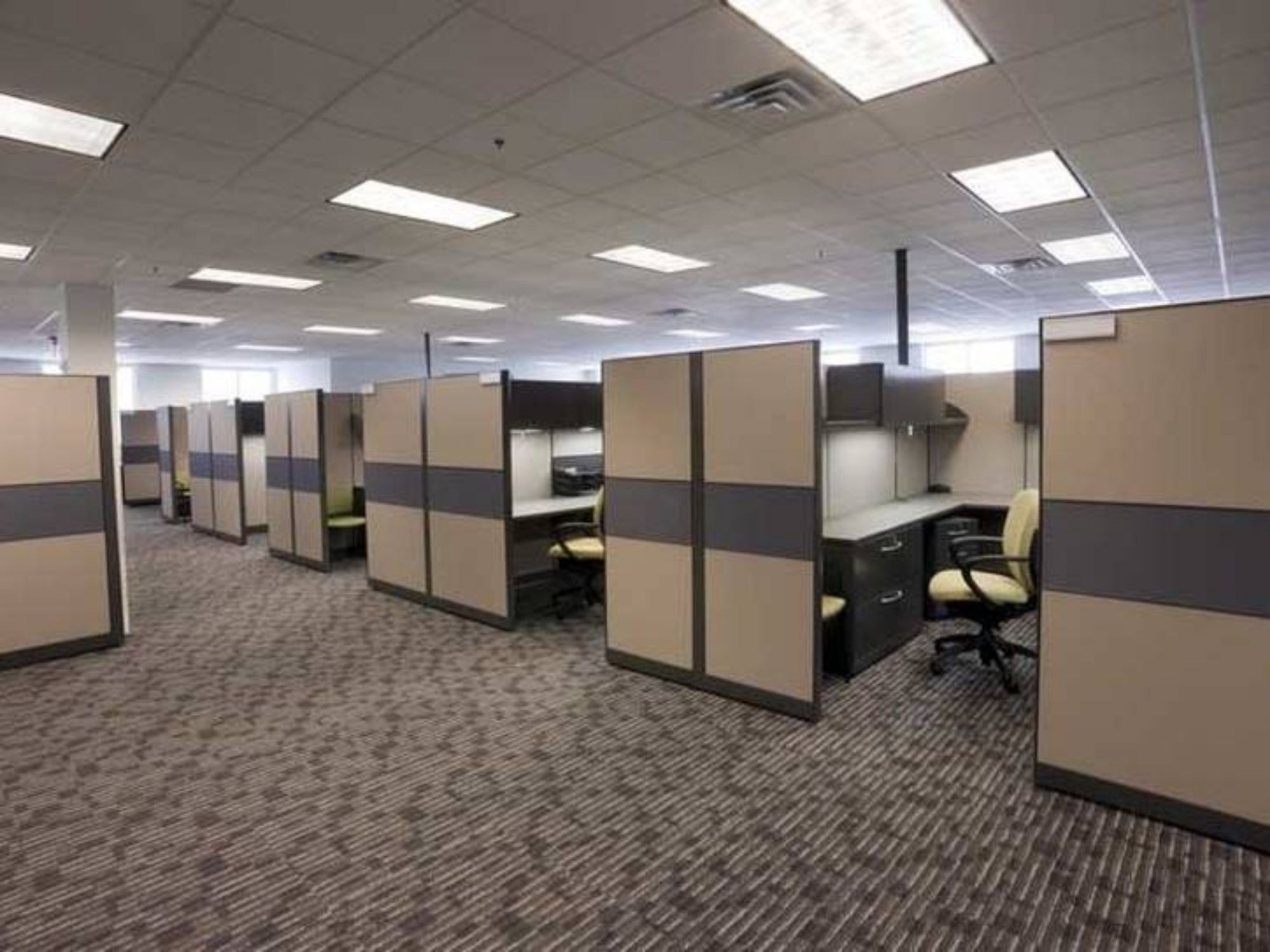 Image of bland as fuck corporate office with cubicles