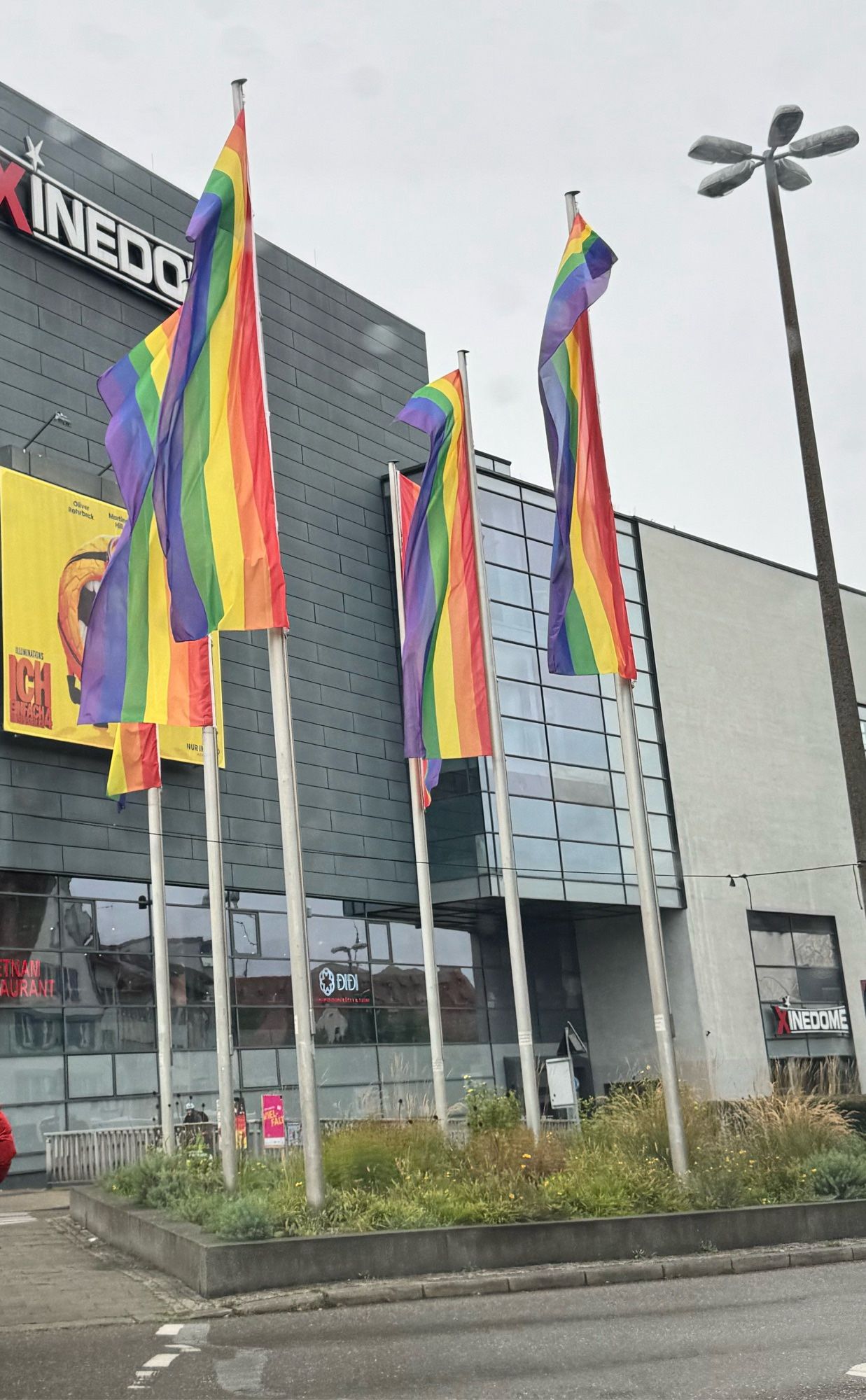 Die 6 Regenbogenfahnen am Fussgängerüberweg am Xinedom (Nähe Bahnhof)