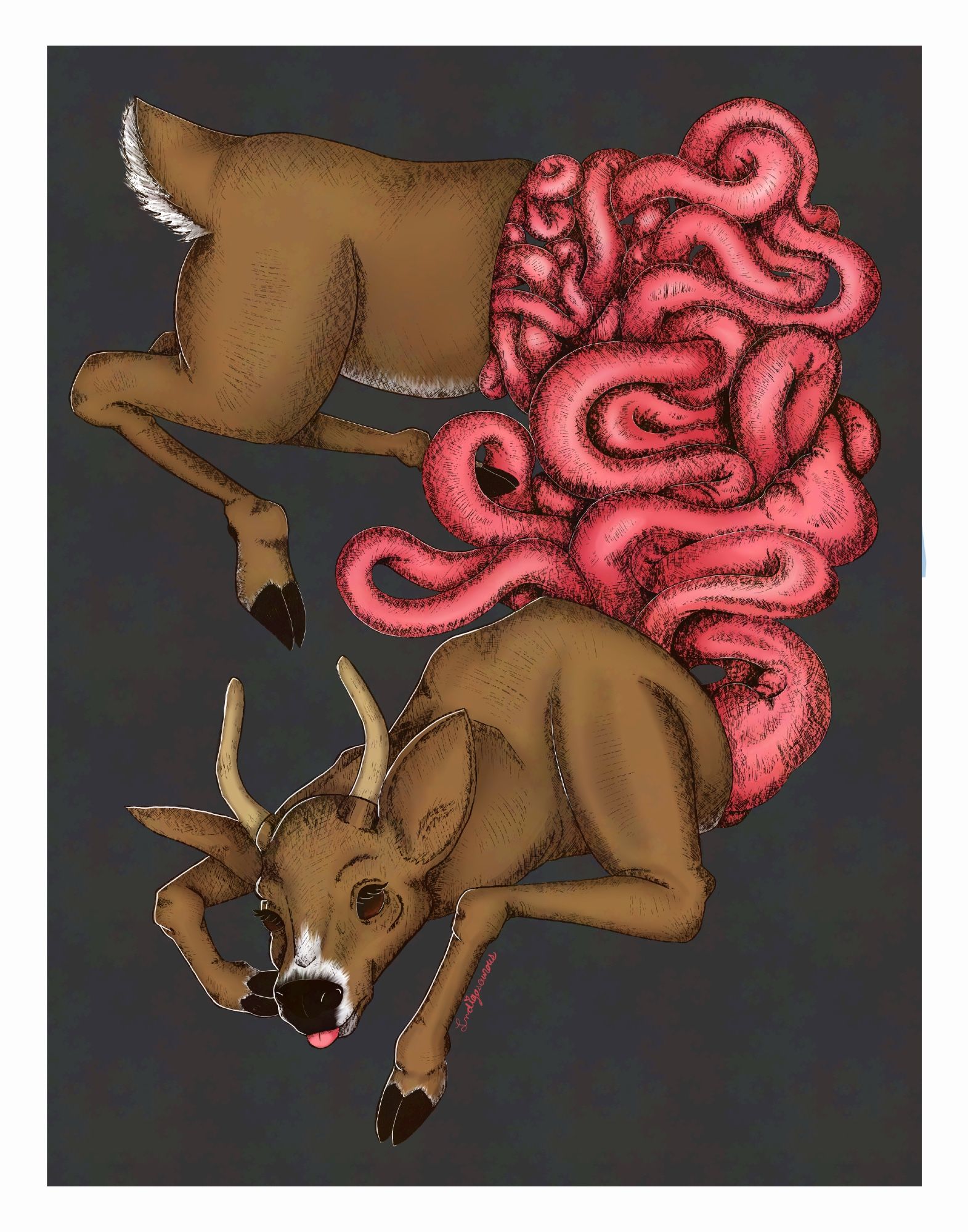 Digital painting of a dead deer split in two with winding guts connecting it