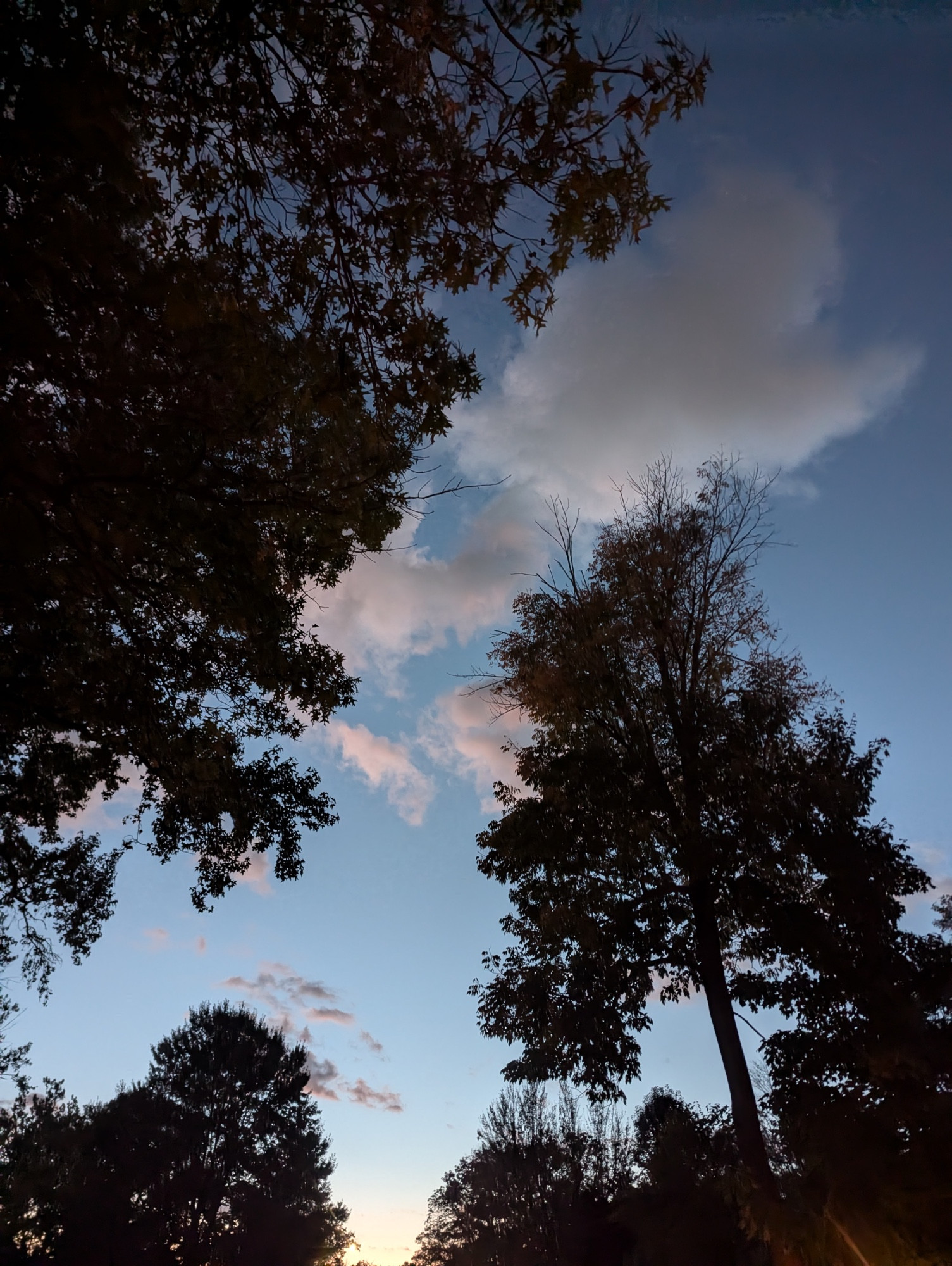 Clouds in a sky shading from pale sunset color near bottom center to deep blue at the top. Trees appear at lower right and along the left side of the image.