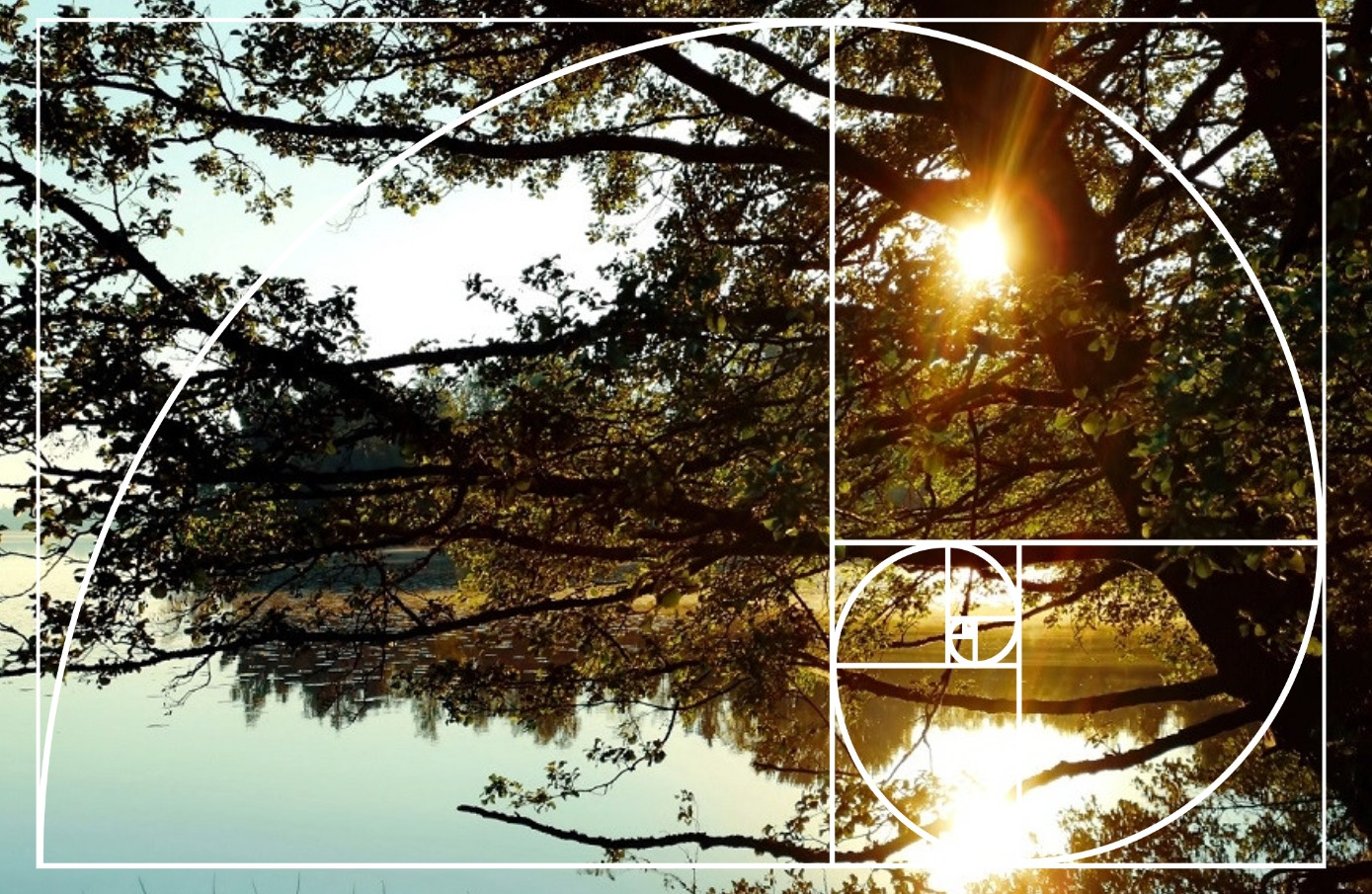 Golden ratio overlay focused on sun and its reflection 