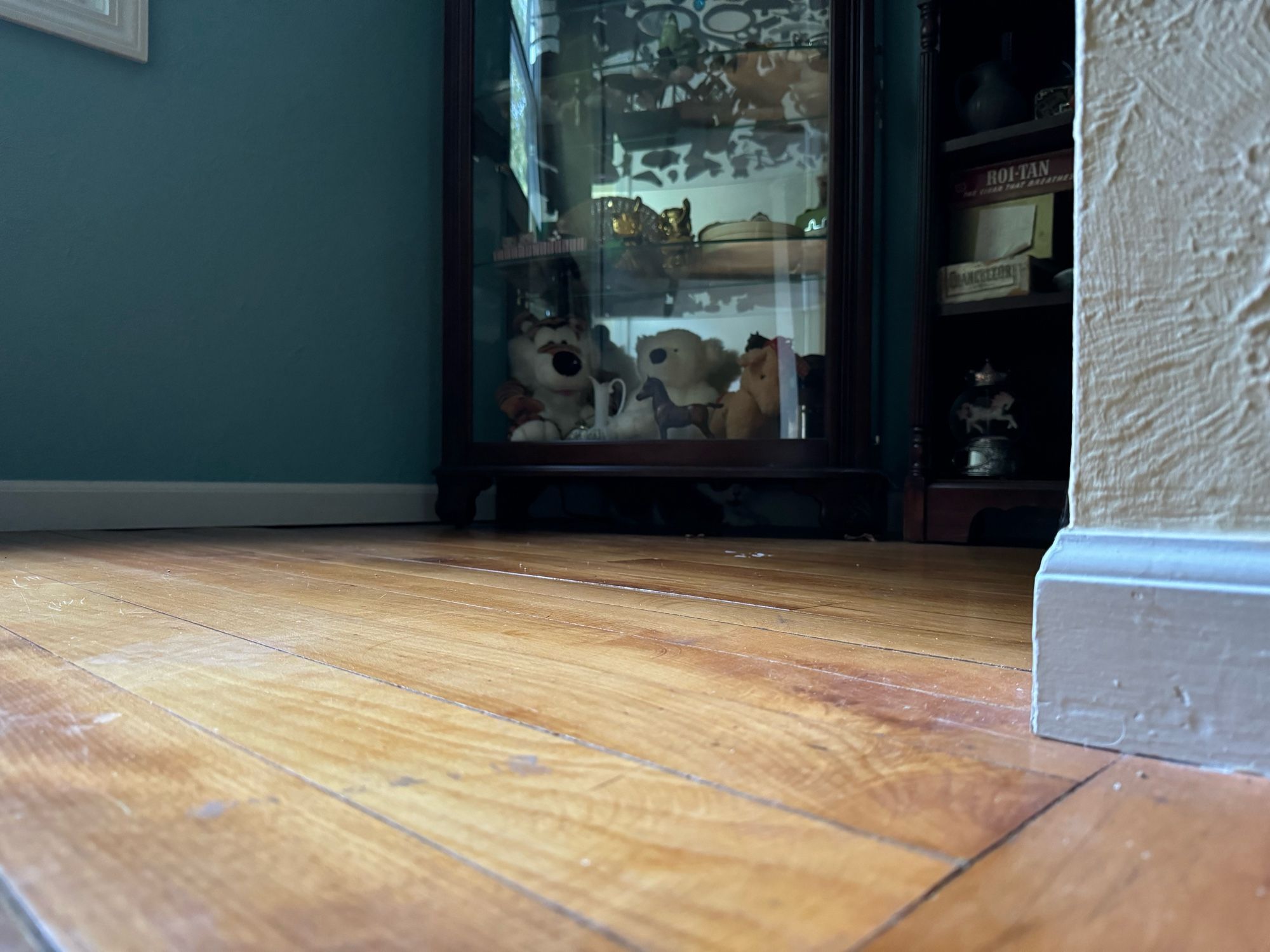 A low-angle photo of a shadowed area beneath a cabinet. The cabinet is full of all sorts of curiosities (childhood toys, pop culture collectibles, fossils, crystals, shells, and more). There is a very well camouflaged grey-and-white cat under the cabinet, not that anyone could know that by looking.