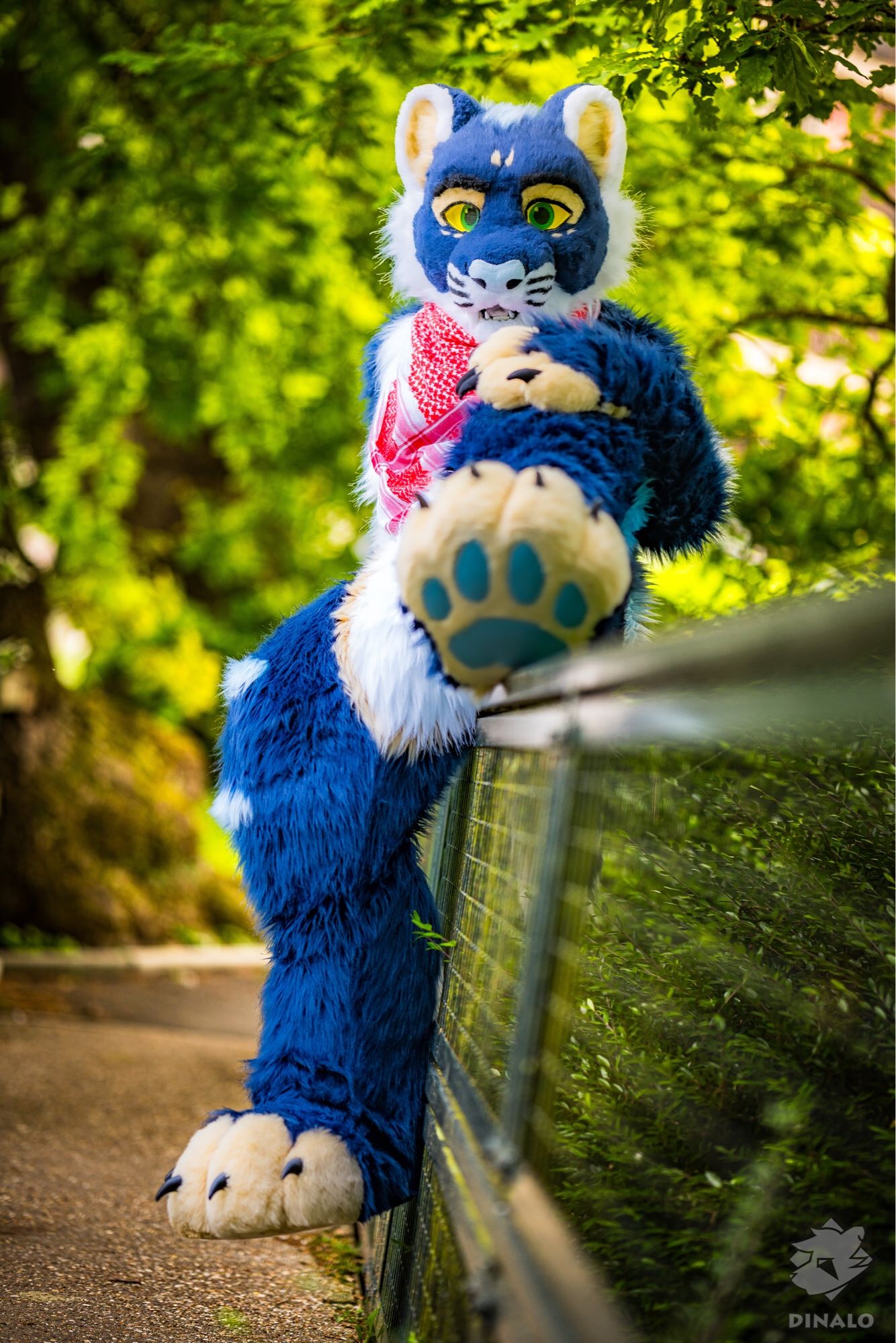 A blue Saber-tooth cat fursuiter sits on a railing in woodland with one footpaw on the railing and the other dangling down