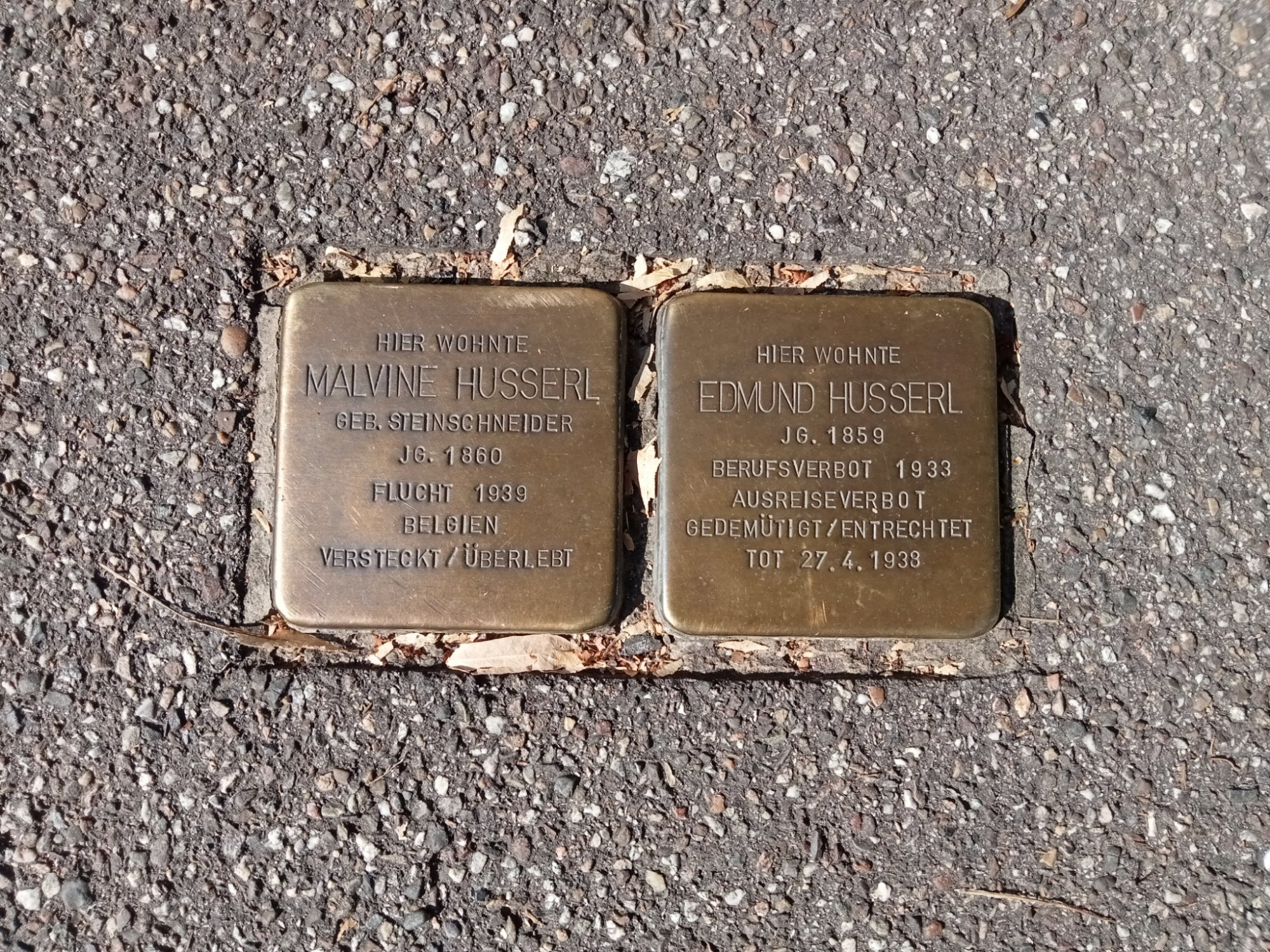 2 commemorative plaques:

Hier wohnte
Malvine Husserl 
ger. Steinschneiser
JG 1860
Flucht 1939
Belgien
Versteckt/überlebt

Hier wohnte 
Edmund Husserl 
JG 1859
Beruftsverbot 1933
Ausreuaecwerbot 
Gedemütigt/entrechtet 
TOT 27.4.1938
