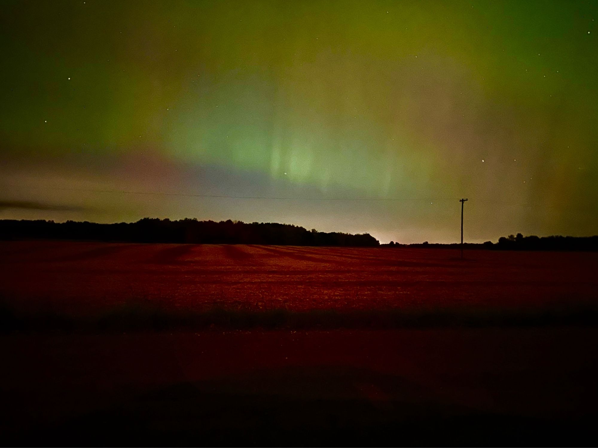 Aurora photographed from a field. Ribbons of green