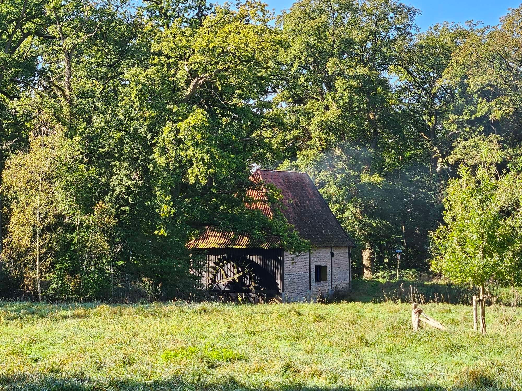 Watermolen tussen bomen en gras