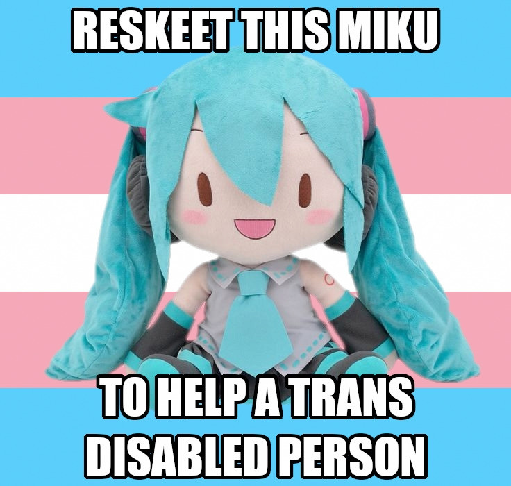 miku plush in front of the trans flag with text: reskeet this miku to help a trans disabled person