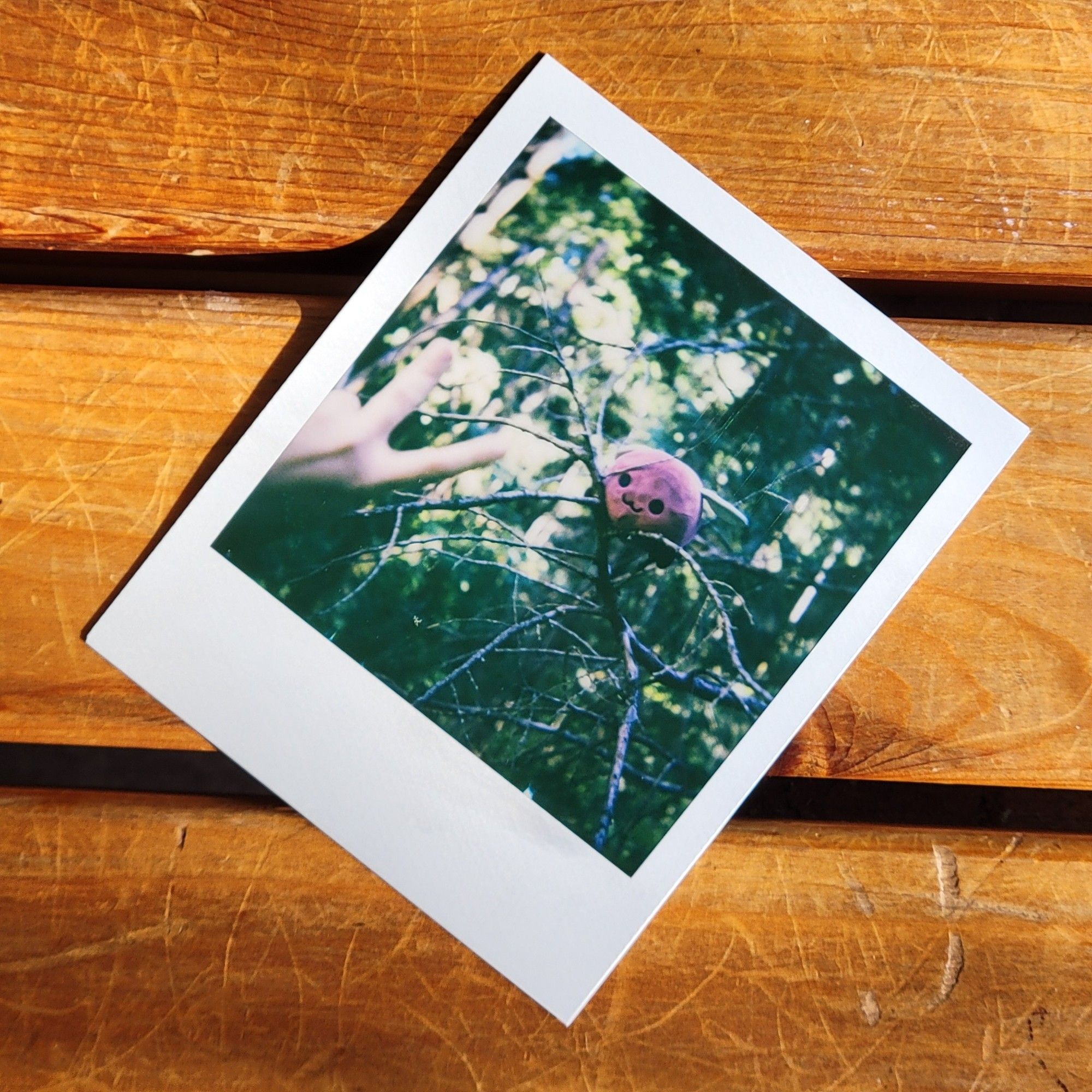 Polaroid of an eggbug plush in a tree, in the foreground im holding up a peace sign