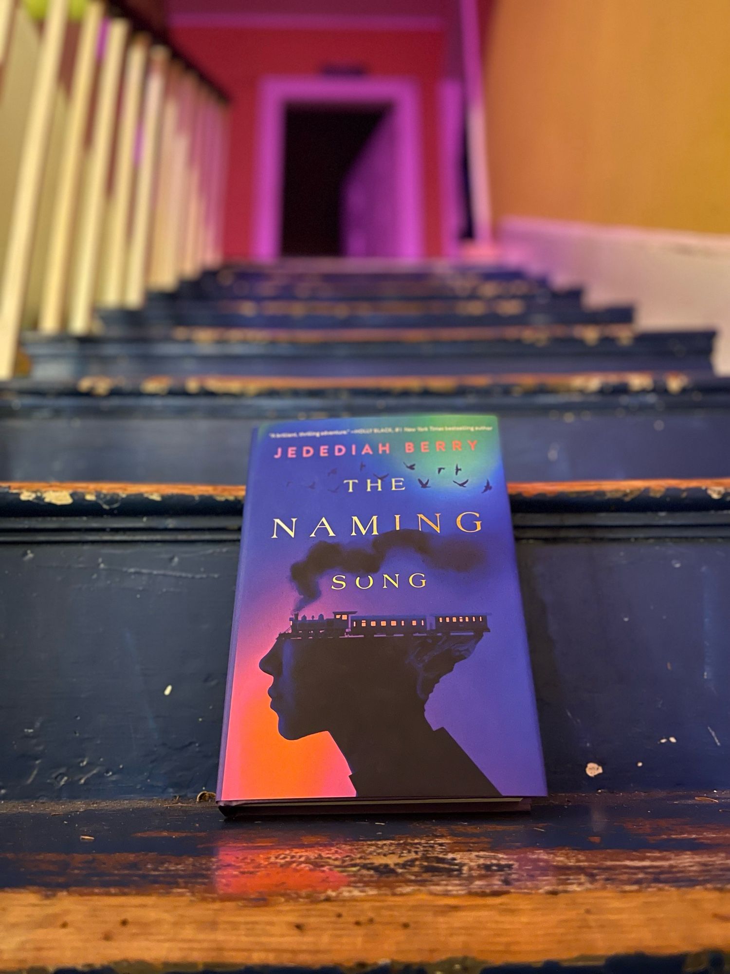 Photo of a copy of The Naming Song on some beat up old stairs in a beat up old house in Amherst, Massachusetts, where much of the book was written.