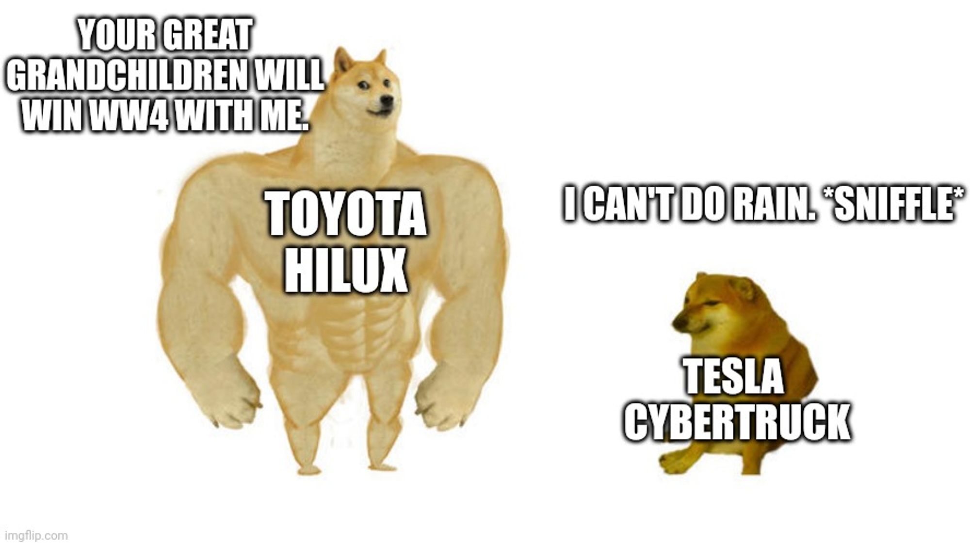 Swole doge v Cheems meme. Swole doge is labeled Toyota Hilux and says "your great grandchildren will win WW4 in me." Cheems is labeled "Tesla Cybertruck" and says "I can't do rain *sniffle*"