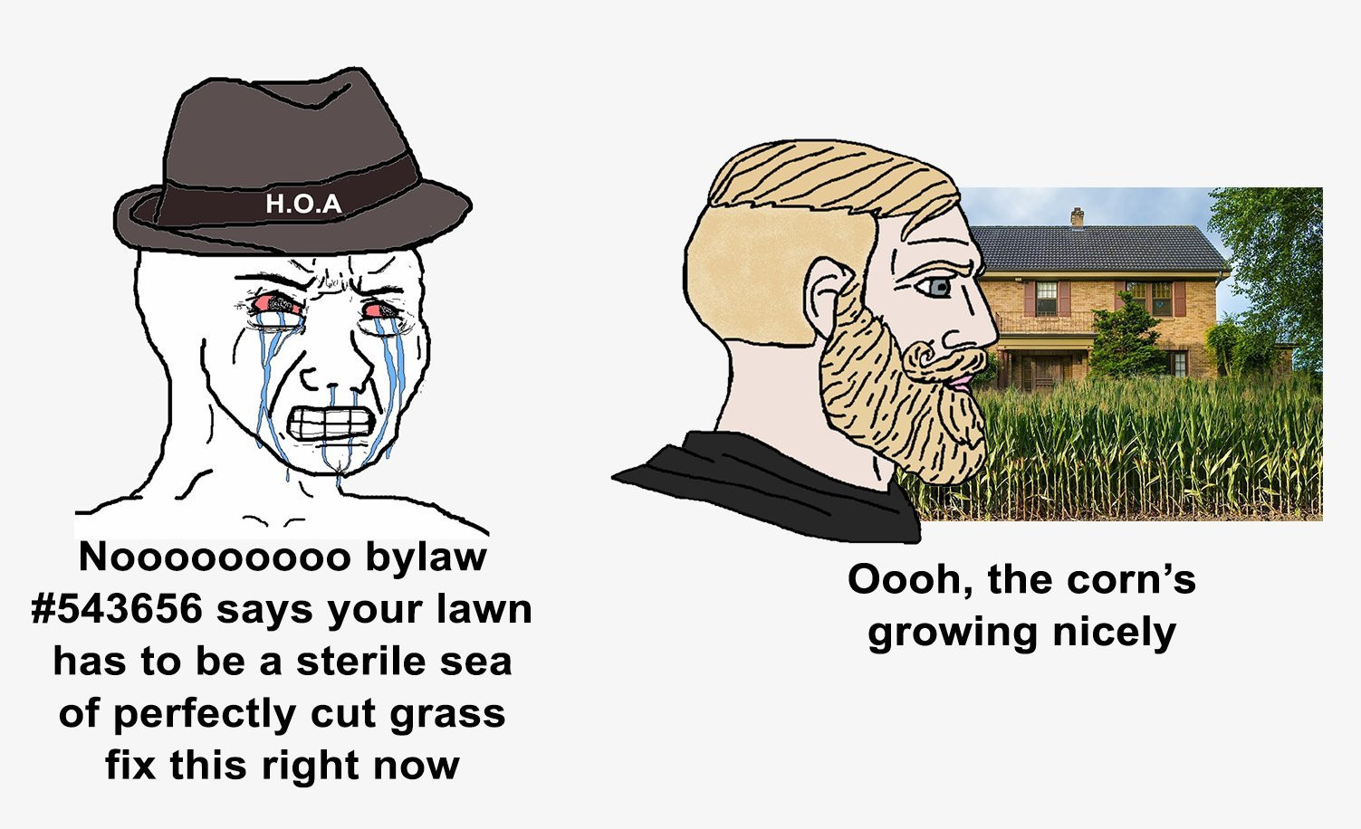 HOA wojak crying as he says "nooo bylaw says your lawn has to be a sterile sea of perfectly cut grass fix this right now" as a chad wojak looks onto a vegetable garden lawn and says "oooh the corns growing nicely"