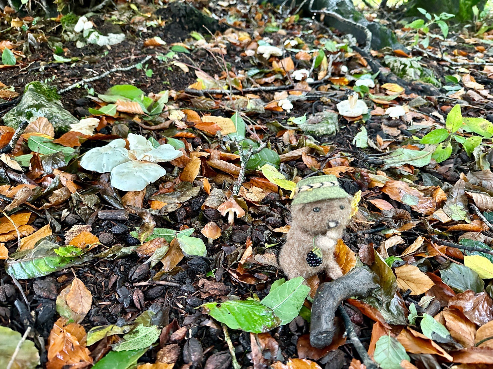 Felted water vole with a hat, wheat sheath and blackberry in the autumn leaves. For sale on my website