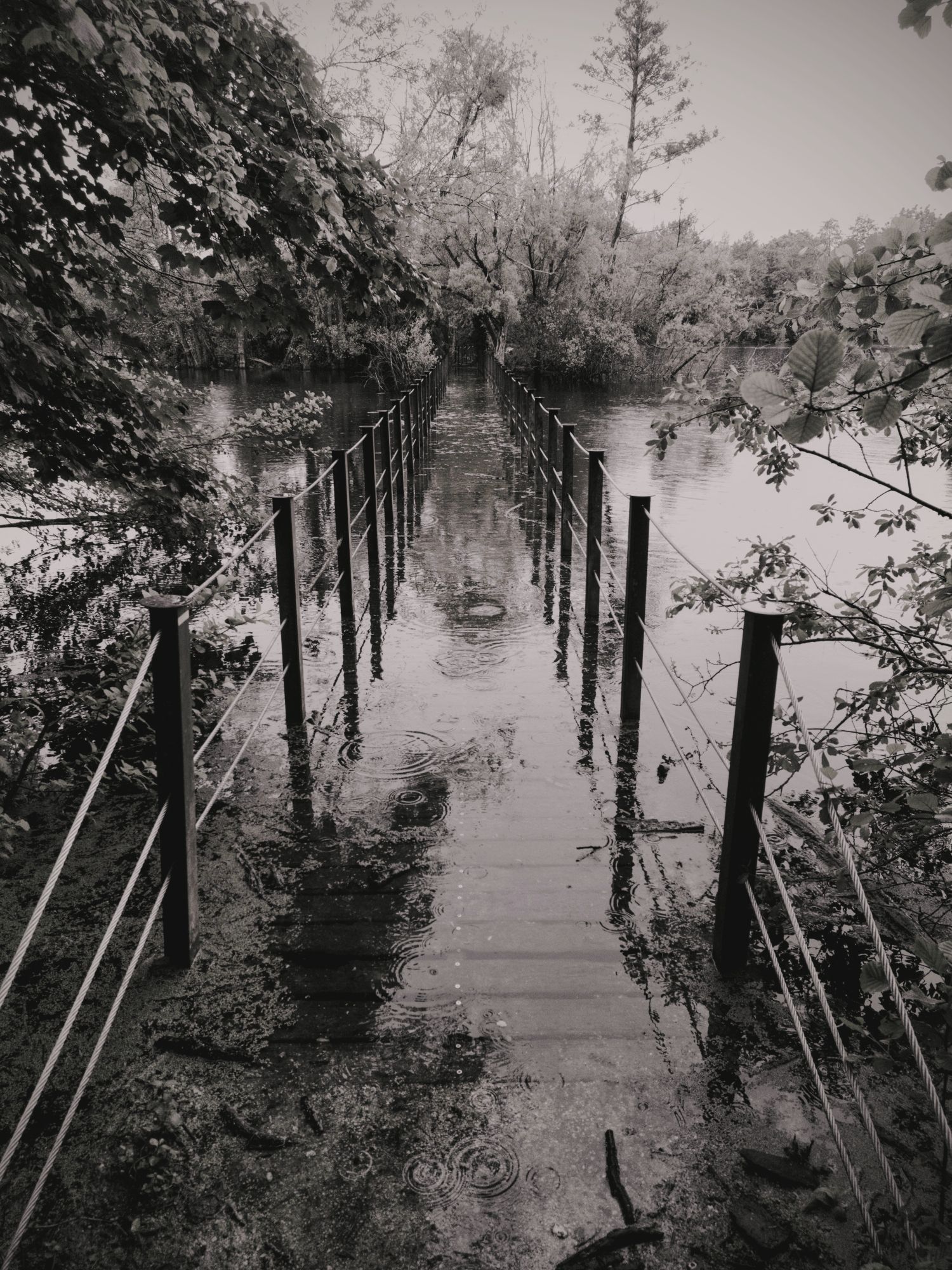 Black and white picture of a narrow footbridge over a pond in a park. It's submerged under only a few inches of water and has been that way for like six months.