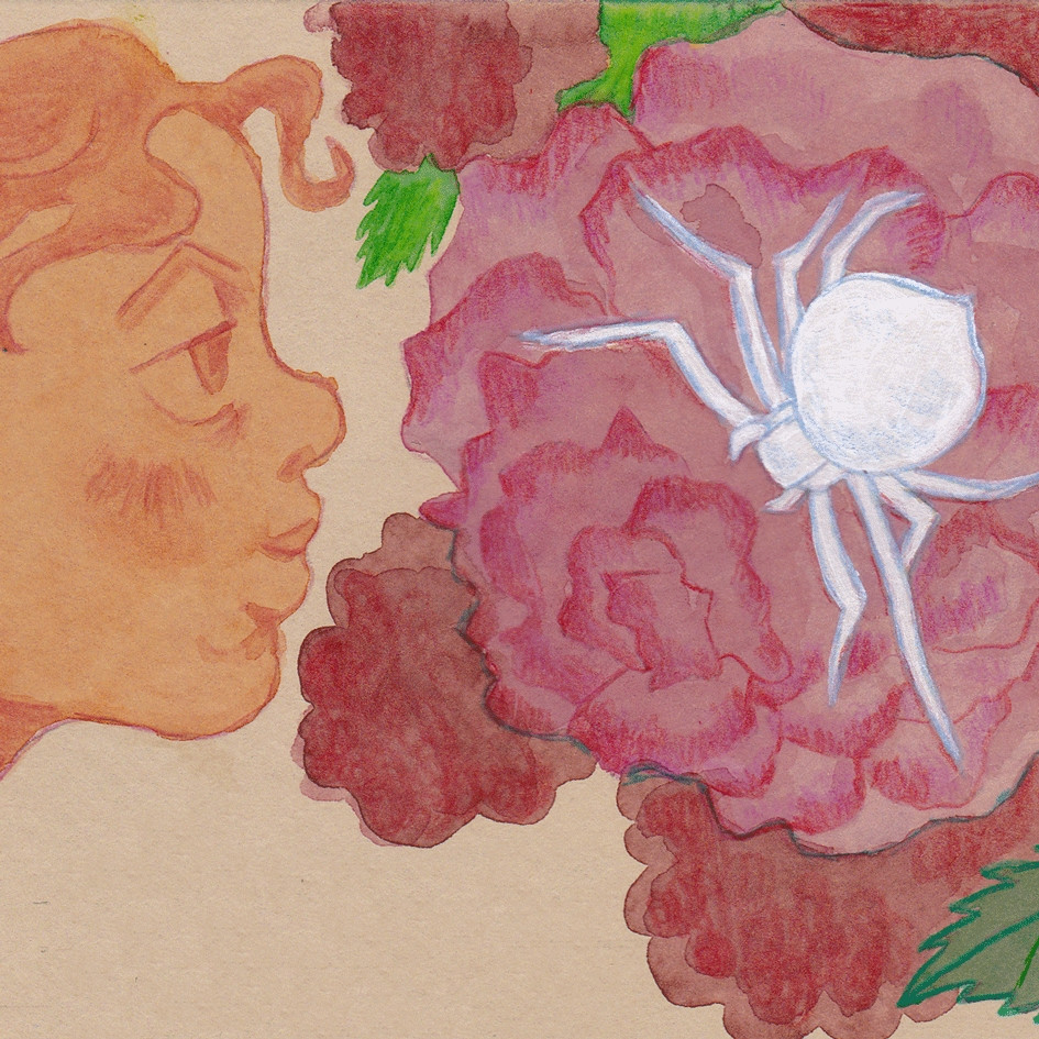 Closeup of an illustrated poetry page, depicting a watercolor drawing of a person smelling a rose as big as their head, with a big glowing white spider amongst its petals. 