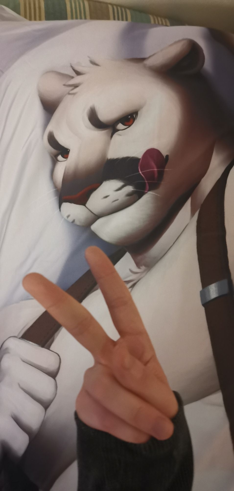 A photo of the Samuel Ayers (The Smoke Room VN) bodypillow. A hand holds a peace sign in front of it.