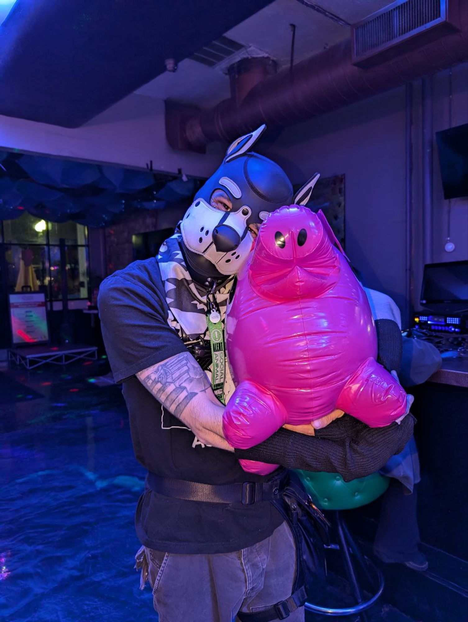 Pup player with pink inflatable pig.