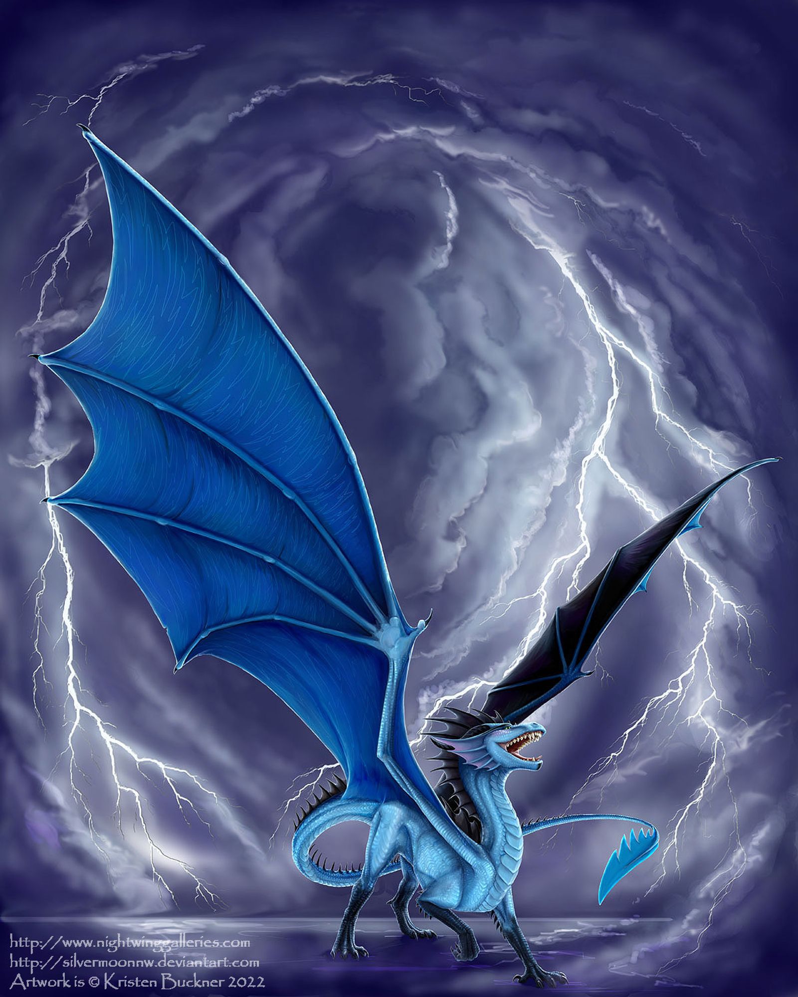 Image is a digital painting of a blue and black dragon standing and roaring with his wings spread wide against a swirling lightning storm behind him. Image title is Thunderstruck