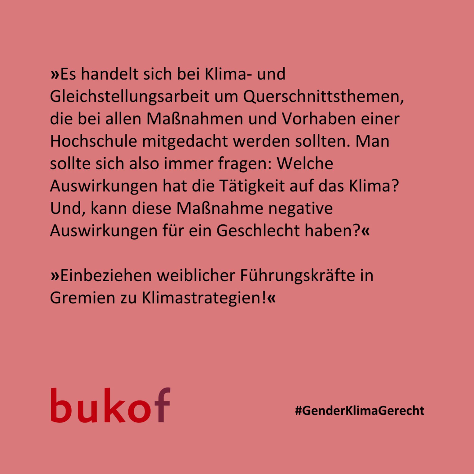 Es steht in schwarzer Schrift auf rosa Hintergrund: »Es handelt sich bei Klima- und Gleichstellungsarbeit um Querschnittsthemen, die bei allen Maßnahmen und Vorhaben einer Hochschule mitgedacht werden sollten. Man sollte sich also immer fragen: Welche Auswirkungen hat die Tätigkeit auf das Klima? Und, kann diese Maßnahme negative Auswirkungen für ein Geschlecht haben?«

»Einbeziehen weiblicher Führungskräfte in Gremien zu Klimastrategien!«