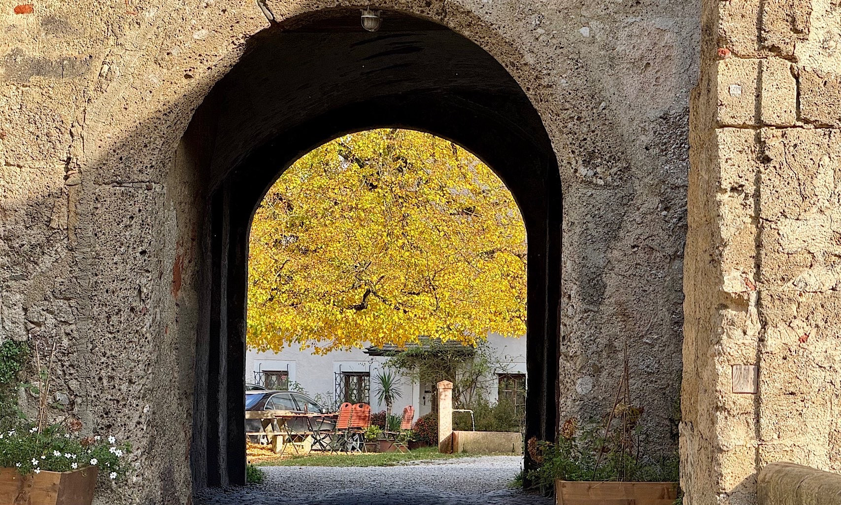 Durchblick durch Tor auf Baum mit gelben Blättern 