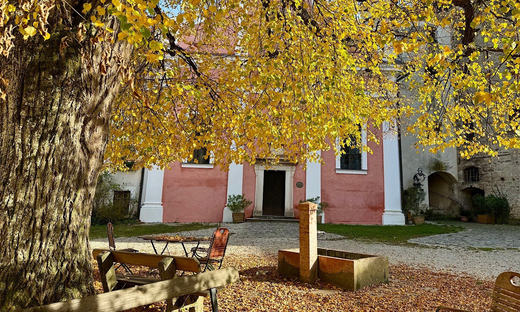 Herbstlich gelber Baum mit Brunnen vor rosa Haus.