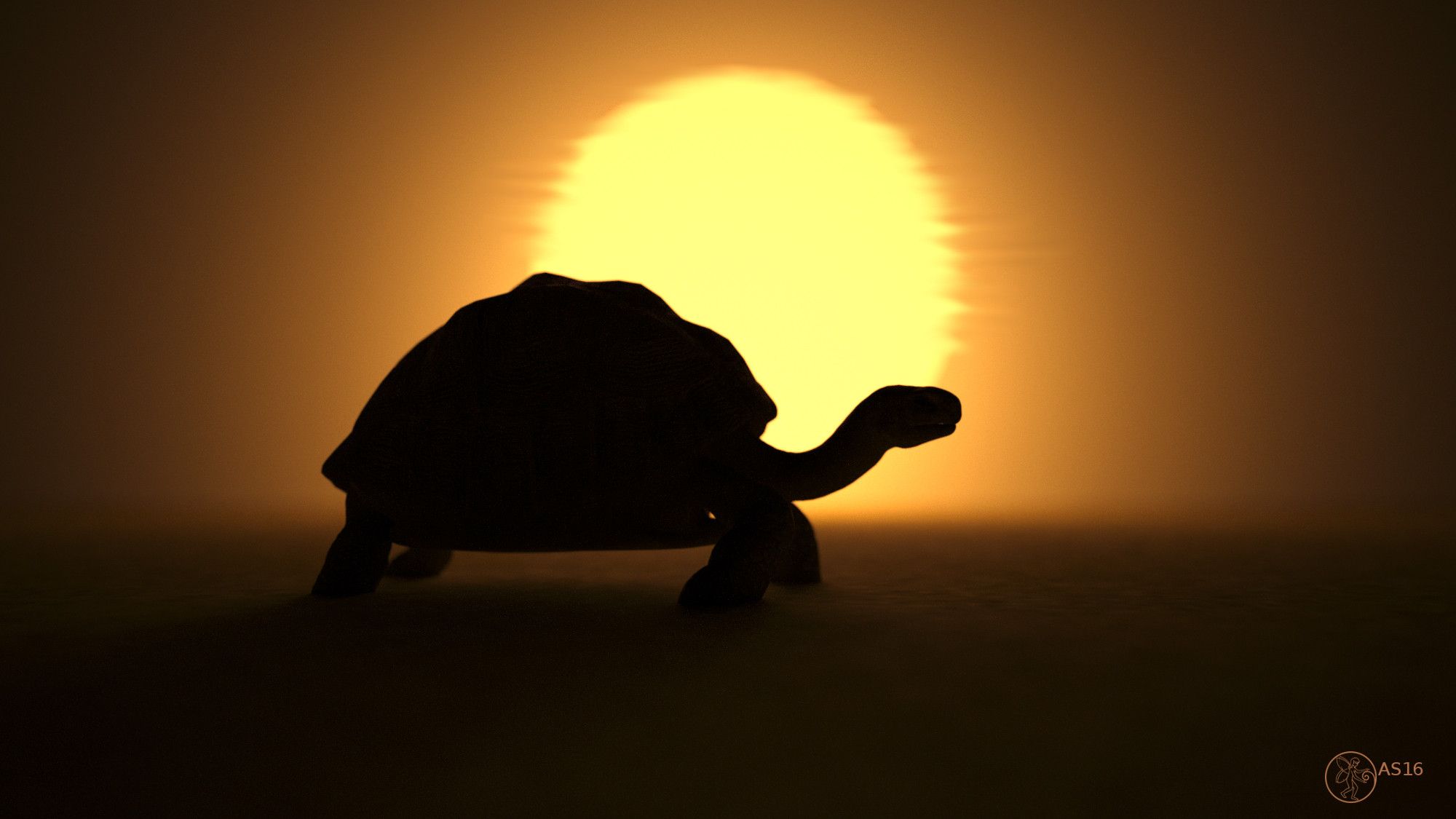 the silhouette of a turtle in front of a setting sun
3d art