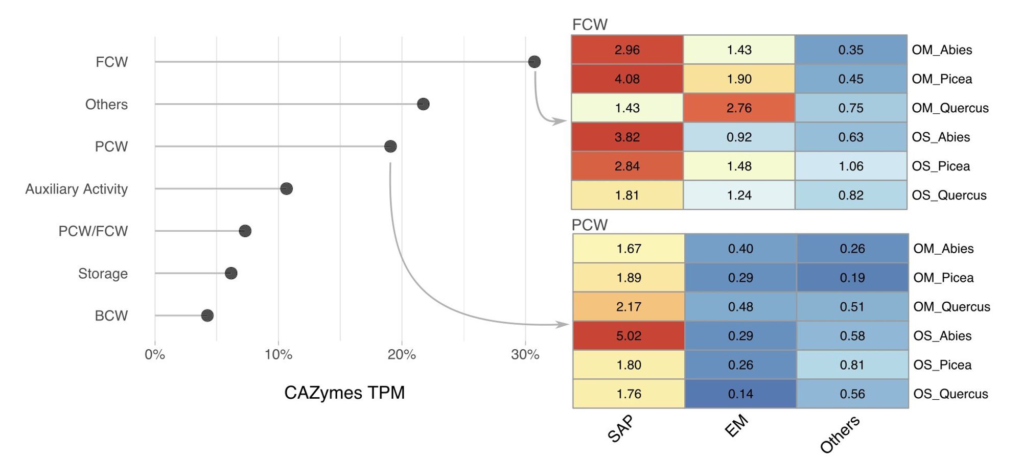 Transcript levels for polysaccharide and lignin degradation enzymes (CAZymes) in saprotrophic and ectomycorrhizal fungi