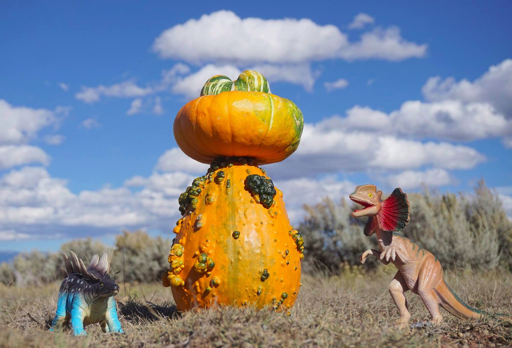 A fall diorama: A warty gourd wears a smooth gourd hat. There's a Stegosaurus on the left and Dilophosaurus on the right. They wait in line for the pumpkin spice to be dispensed.