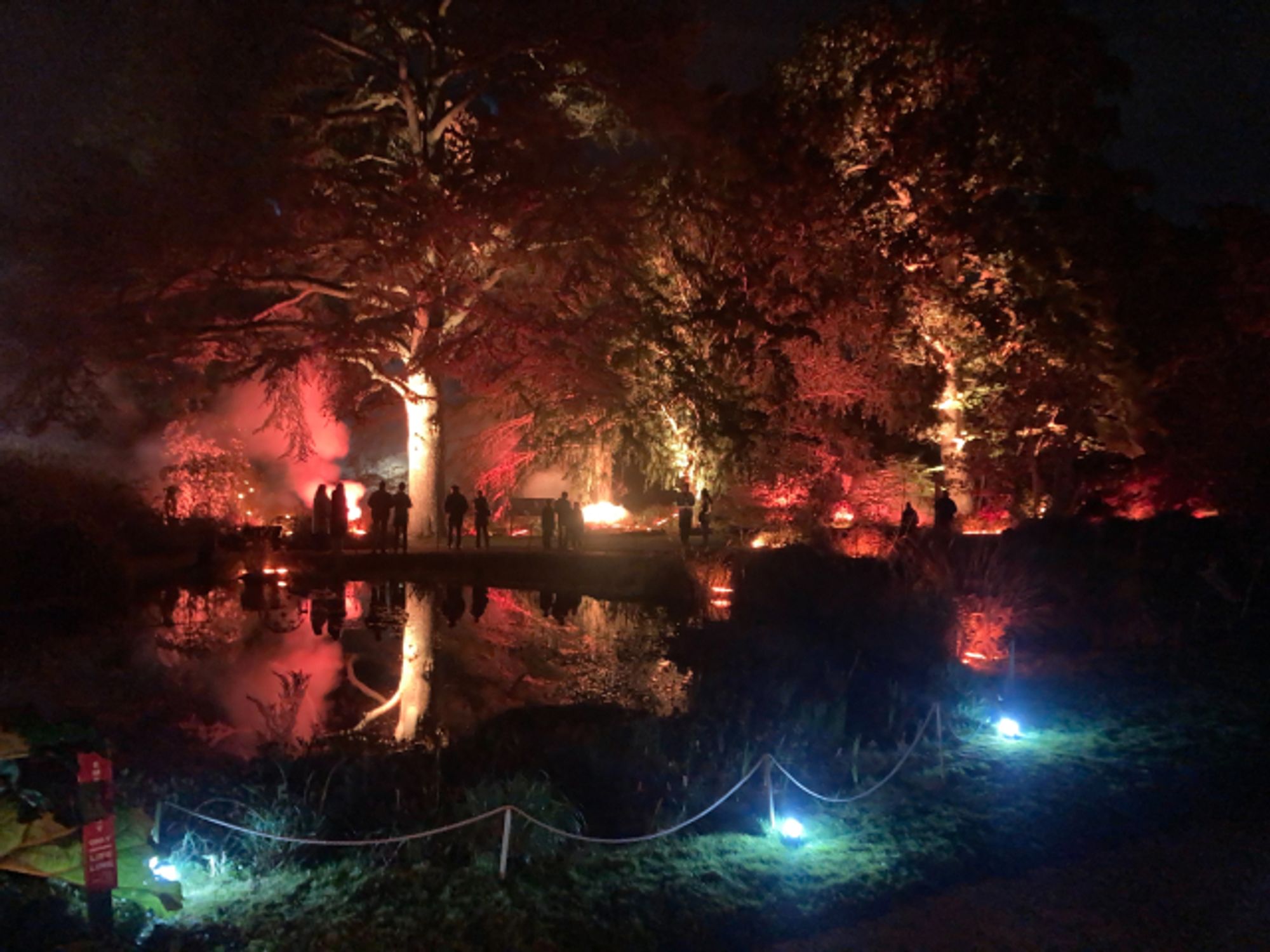 Trees and smoke lit up in yellow and red, pond in front with rope fence and lights