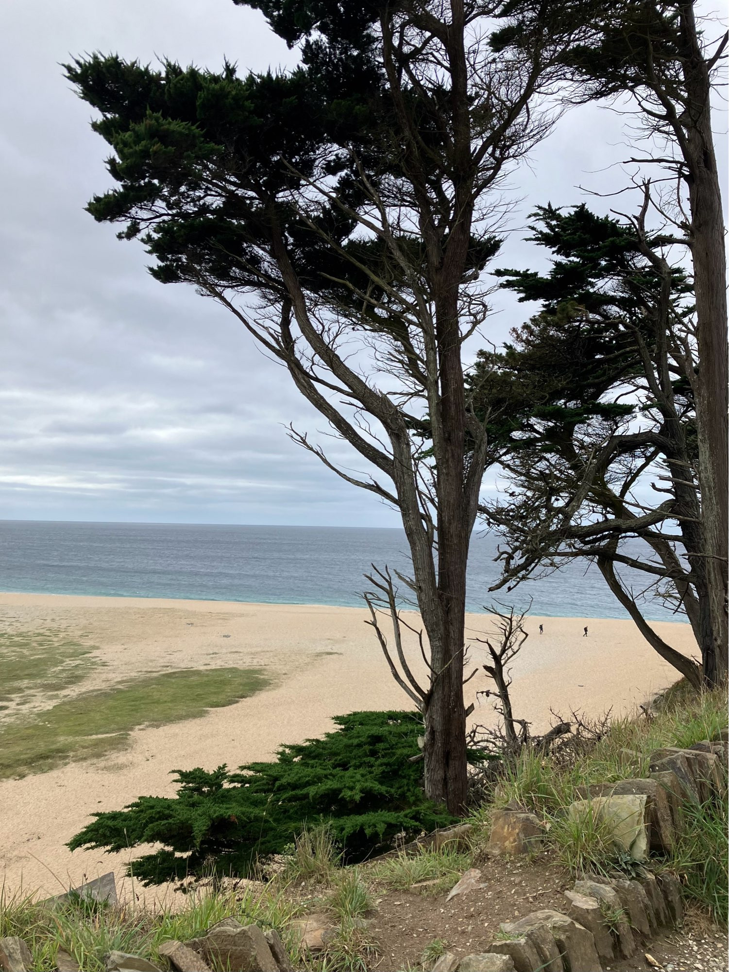 Image from cliff track, through trees to beach and sea beyond.