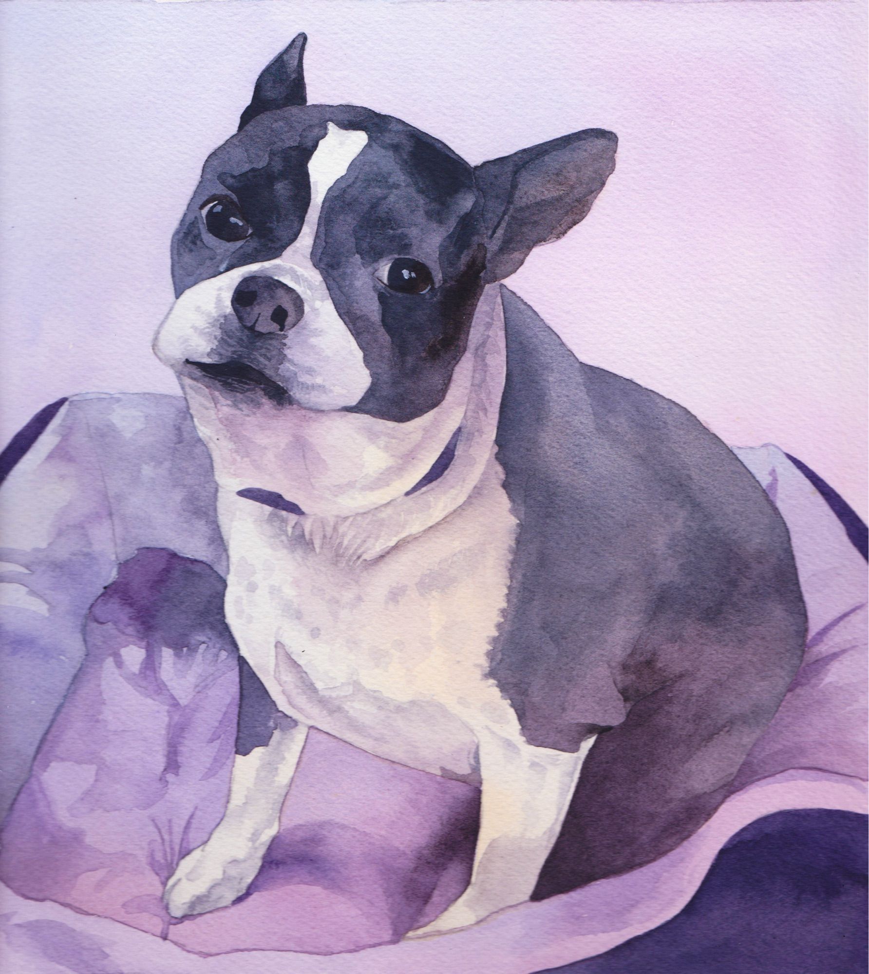 A purple toned watercolor painting of a mixed short nosed small dog, a mix, with a white belly and snout and black patches elsewhere, sitting in a dog bed with raised edges.