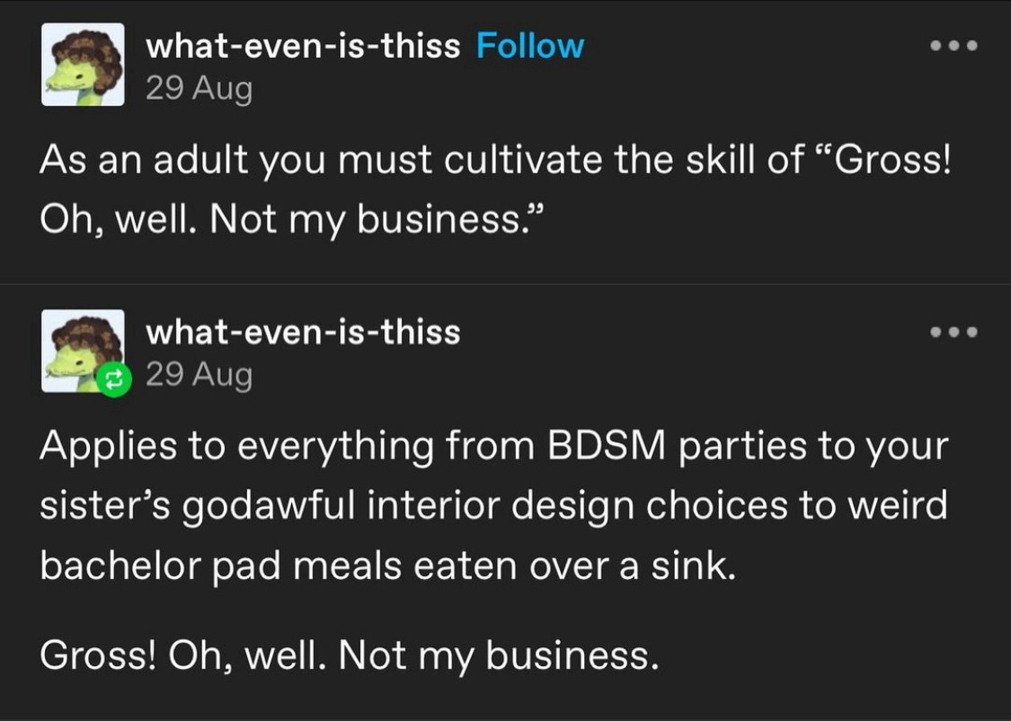 A tumblr screenshot reading “As an adult you must cultivate the skill of ‘Gross! Oh well, not my business.” And then “Applied to everything from BDSM parties to your sister’s godawful interior design choices to weird bachelor pad meals eaten over a sink. Gross! Oh well. Not my business.”