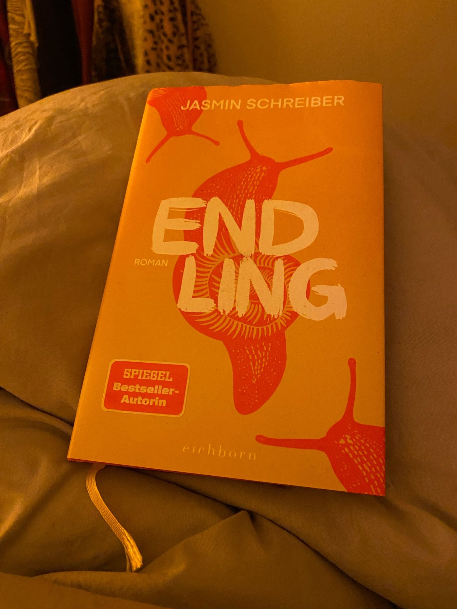 Das Buch endling von Jasmin Schreiber liegt in gebundener Form auf einer hellgrünen Bettdecke