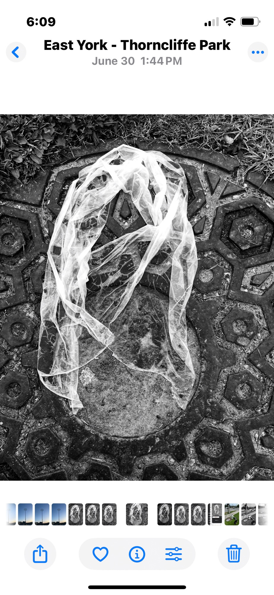 Manhole Madonna is a mirage that appeared when a wet paper towel landed on a rain soaked maintenance cover and formed a vail like appearance.