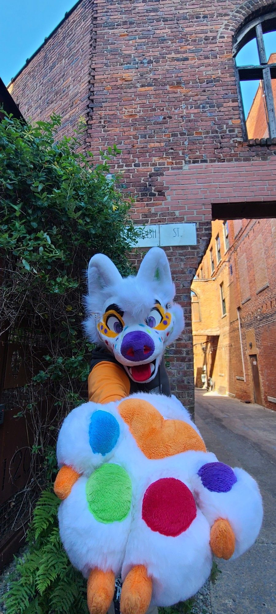 Puppy with paw out in front of a brick wall in an alleyway.