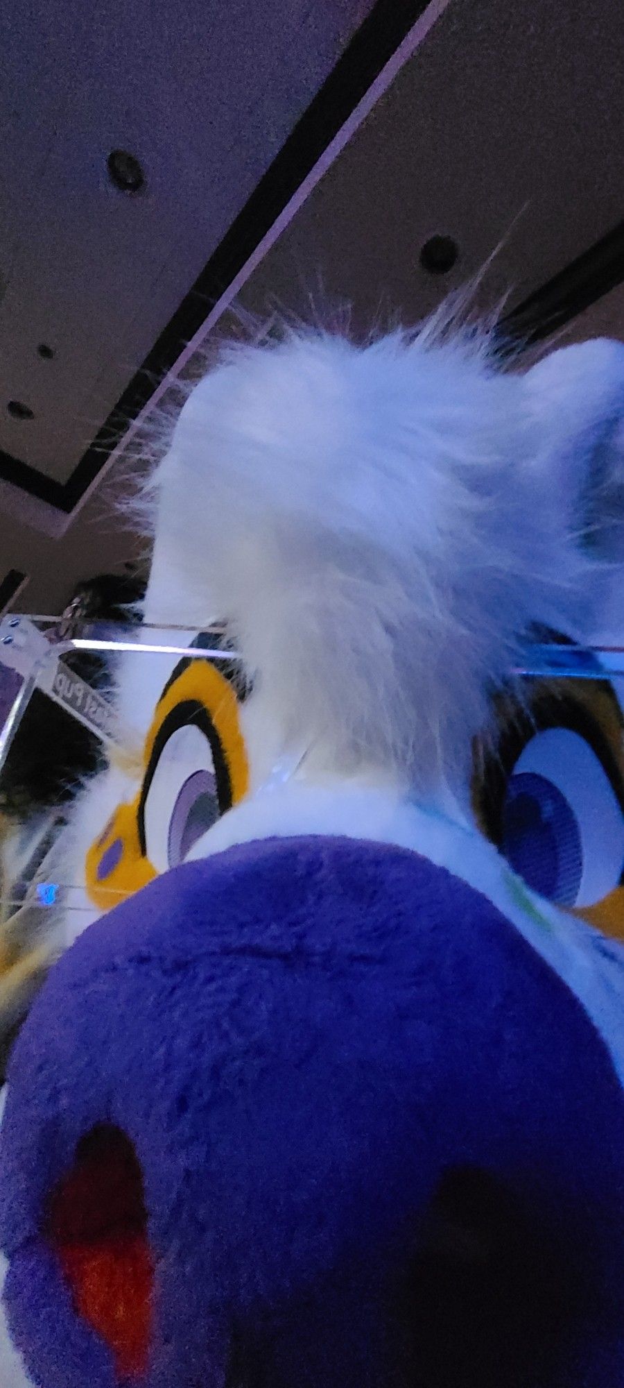 Purple Fursuit nose close to the camera.