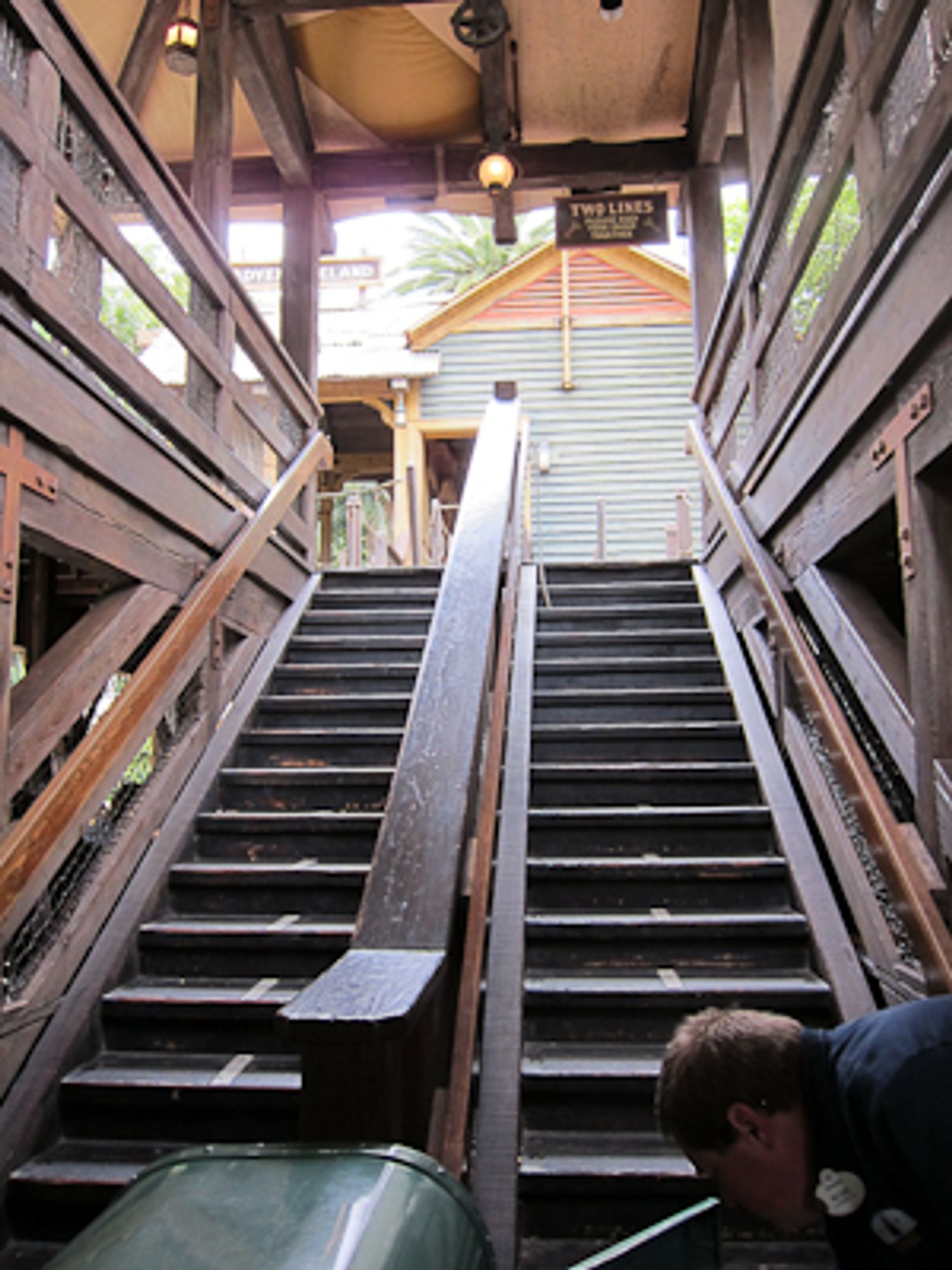 Photo of the Disneyland Jungle Cruise queue stairs 
Photo credit: Shelby from myyearwiththemouse.com