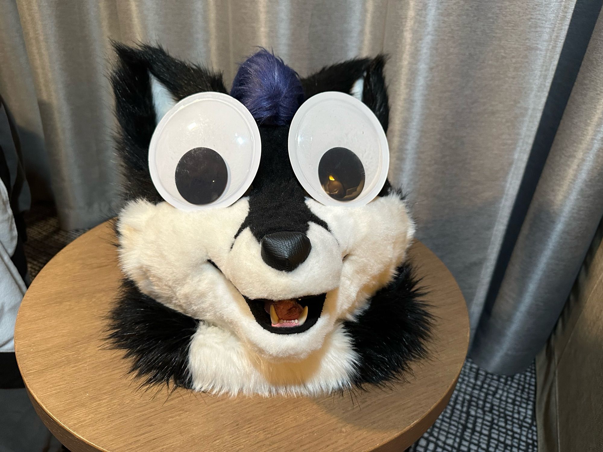 Photo of Mitt’s fursuit head with big googly eyes