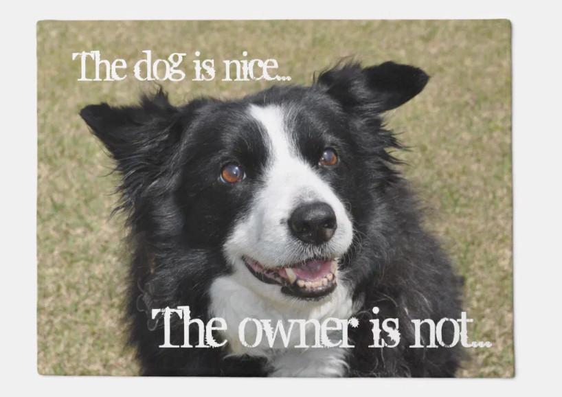 A doormat with a border collie and the words, :The dog ius nice...The owner is not...