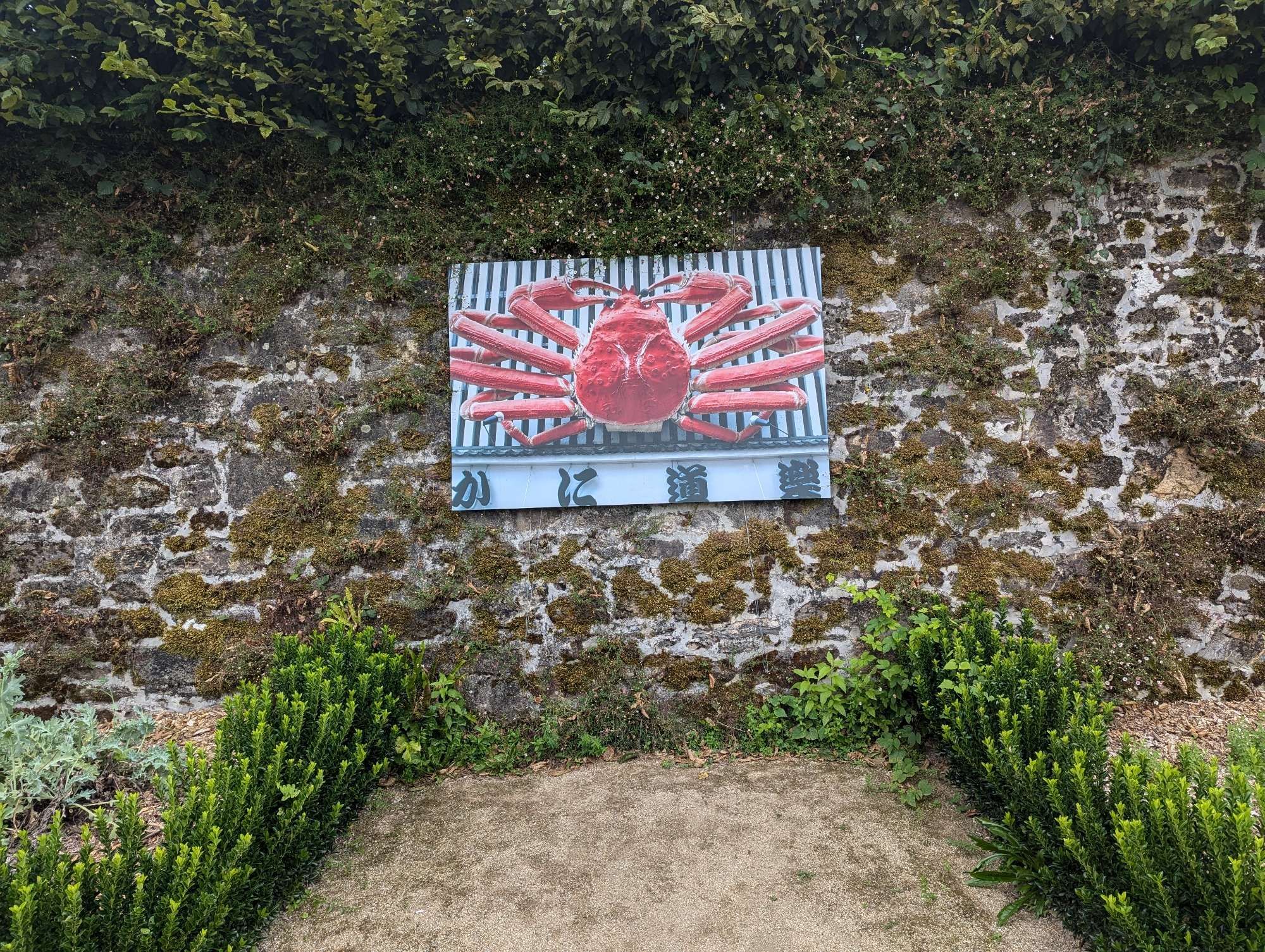 Une photo de crabe exposée sur un mur dans un jardin