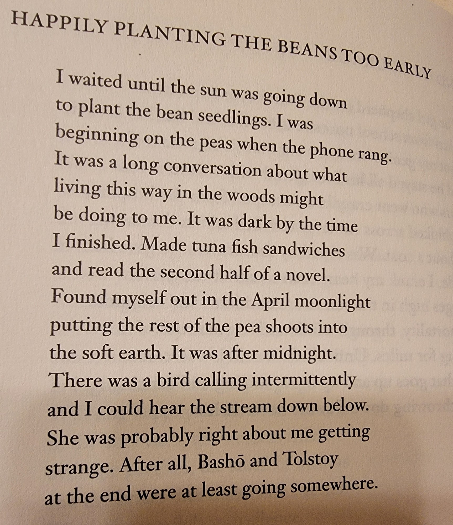 poem by Jack Gilbert. "Happily Planting the Beans Too Early" 