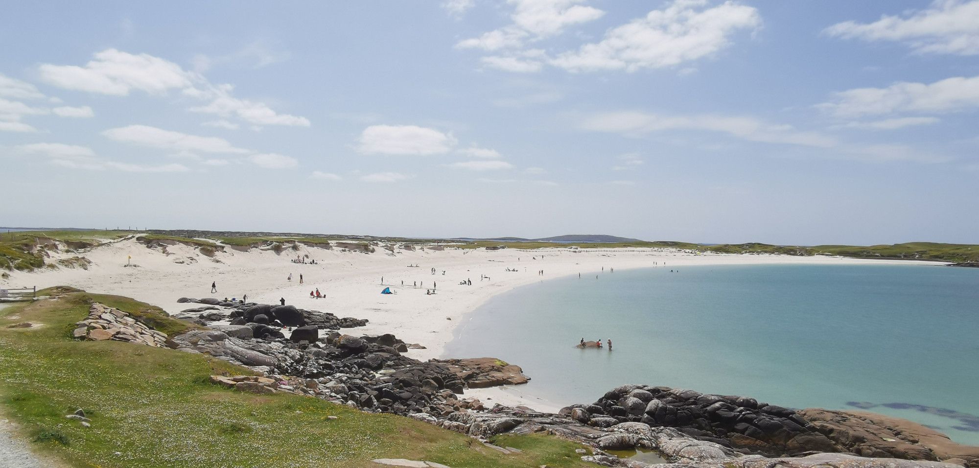 green grass and dark rocks in foreground with blue water and a white curved beach in the background