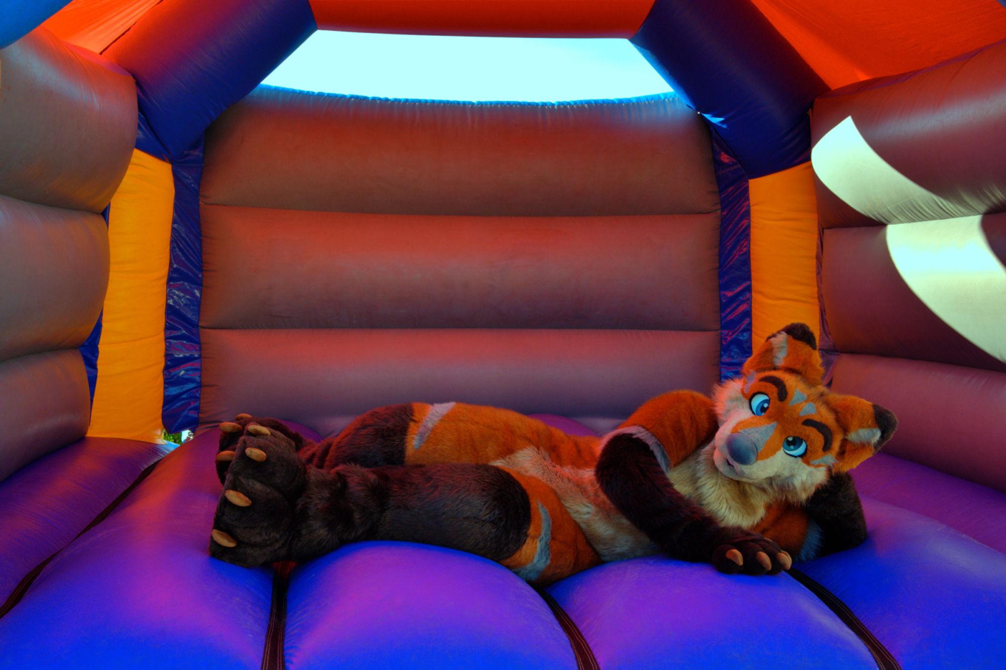 Terrence is lying on a bouncy castle, waiting for you