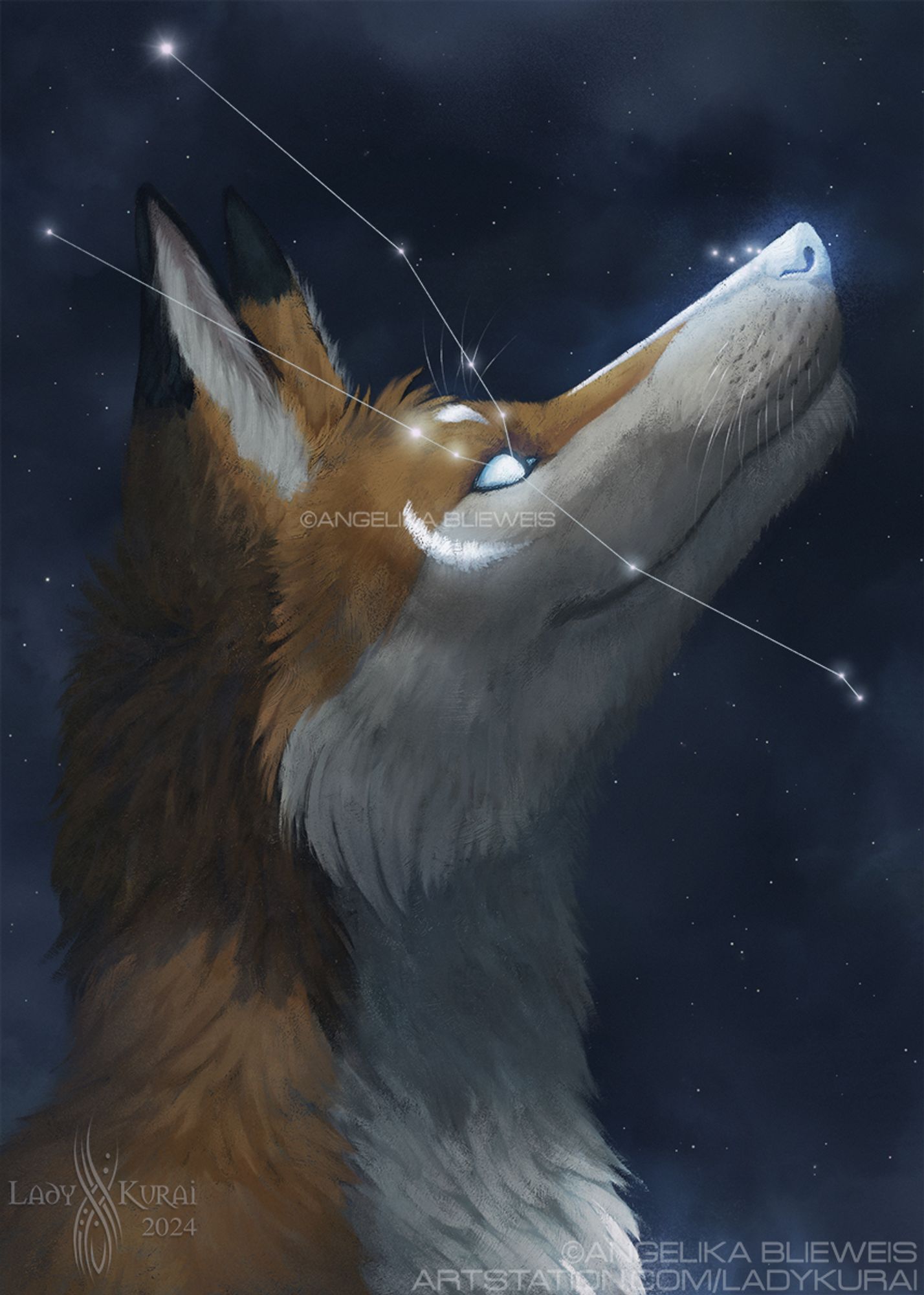 Feral Headshot of Terrence, with a star sky behind of him looking up