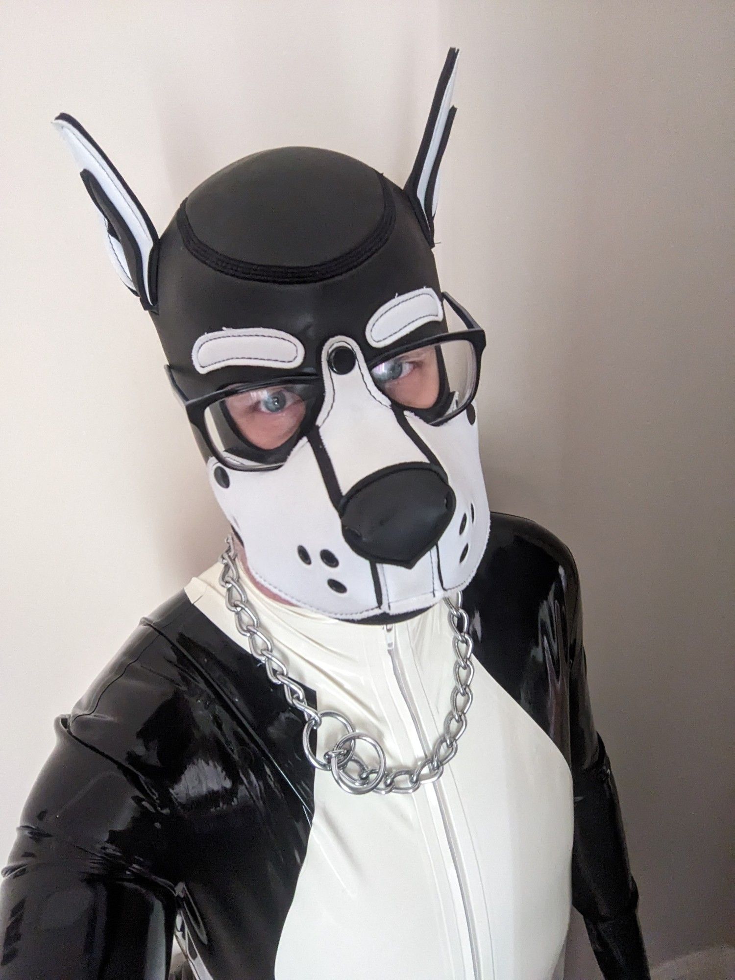 B&w rubber pup wearing glasses and a choke chain.