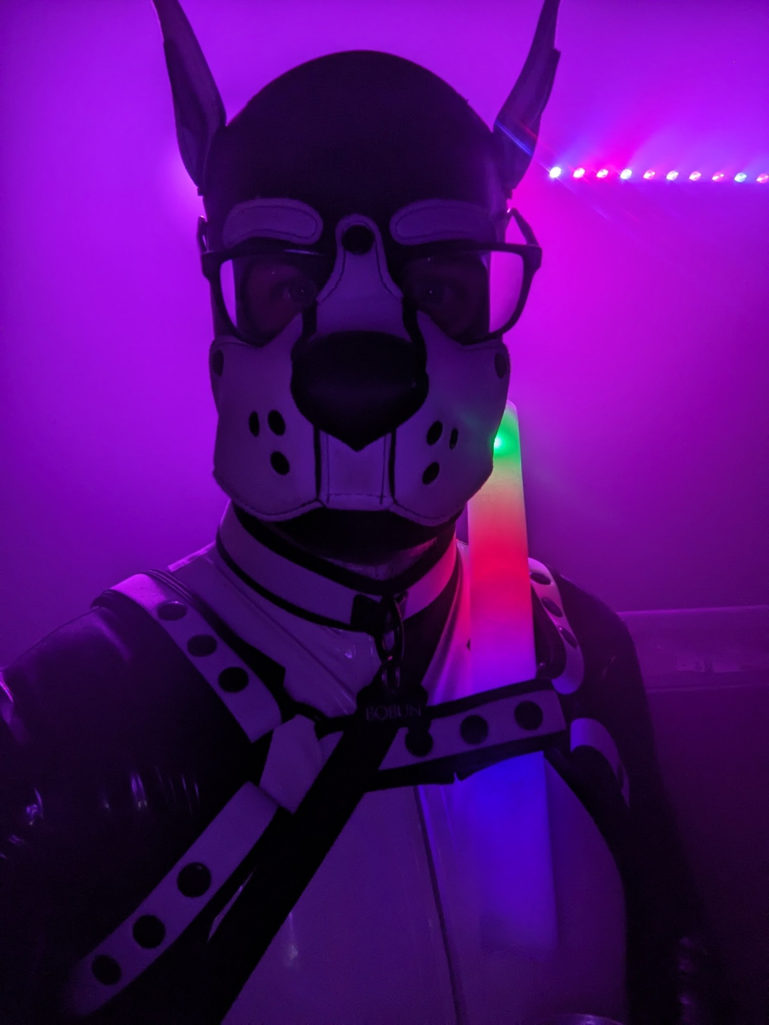 A rubber pup with a neoprene hood and a foam glowstick