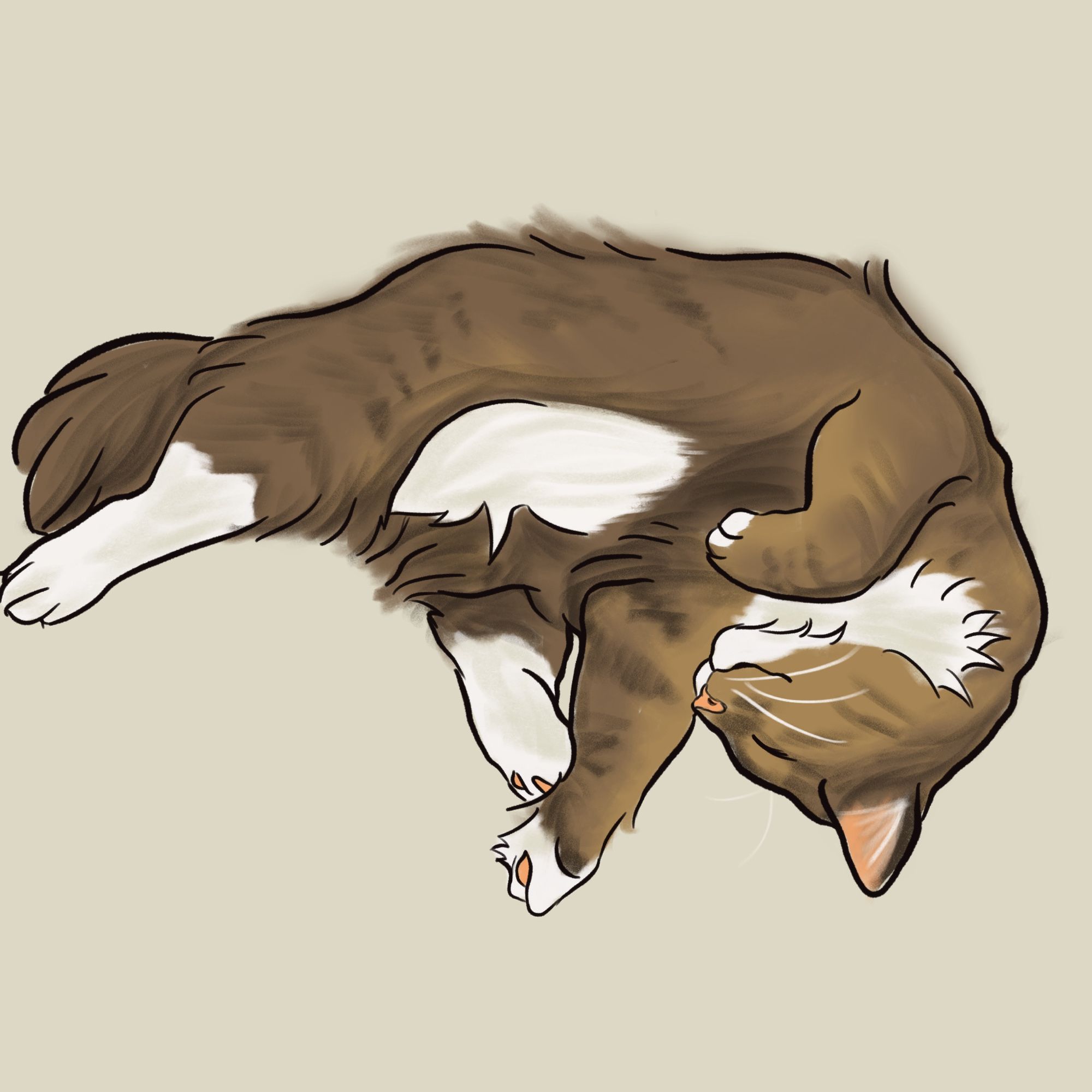 Digital art of a Norwegian Forest Cat in a goofy position on a tan background