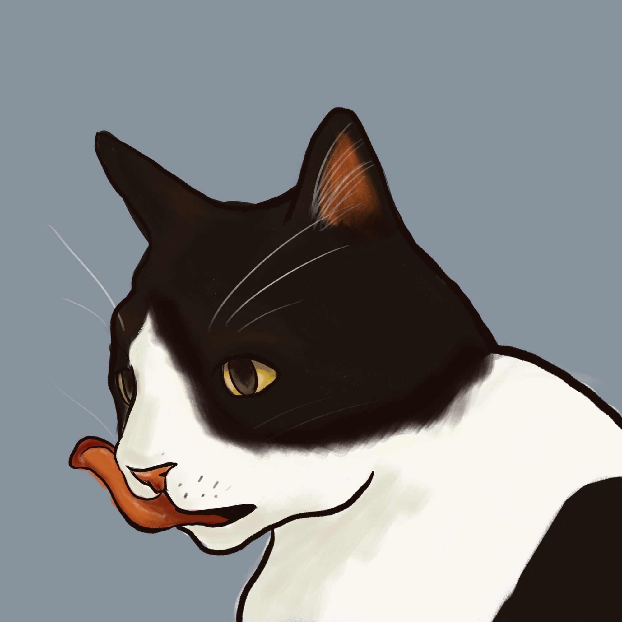 Digital art of a black and white patterned cat licking his face on a grey background.