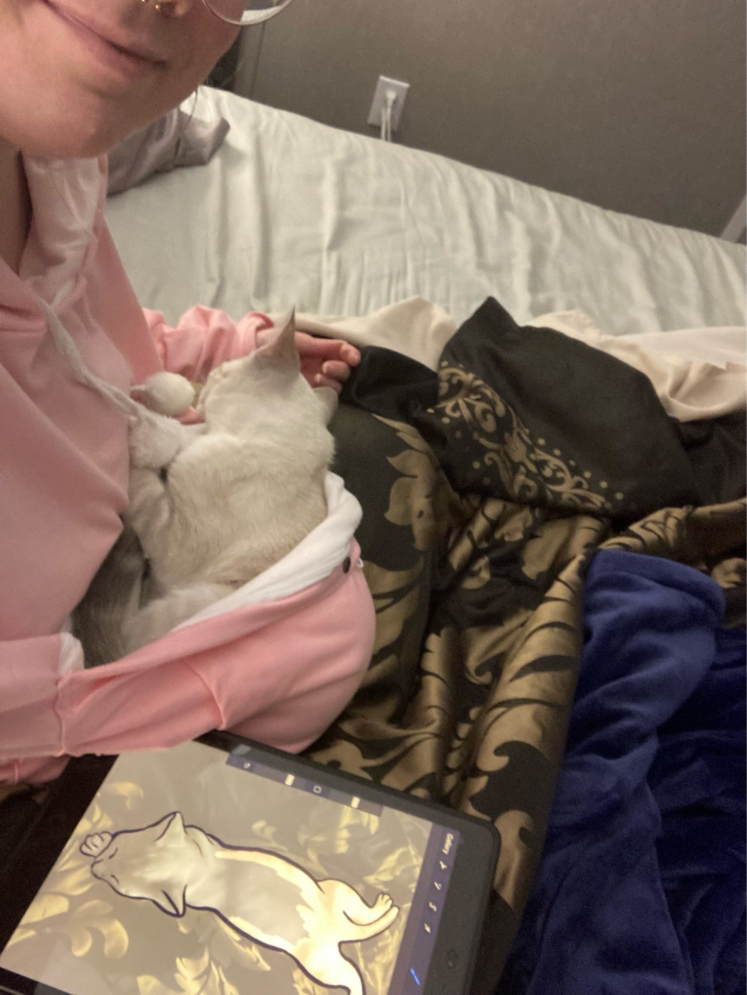 Photo of person wearing a pink cat hoodie with a pocket that’s carrying a Siamese tabby kitten. They’re covered in an ornate gold and black comforter and navy heated blanket in bed. There is an iPad on their lap with a work in progress on the screen.