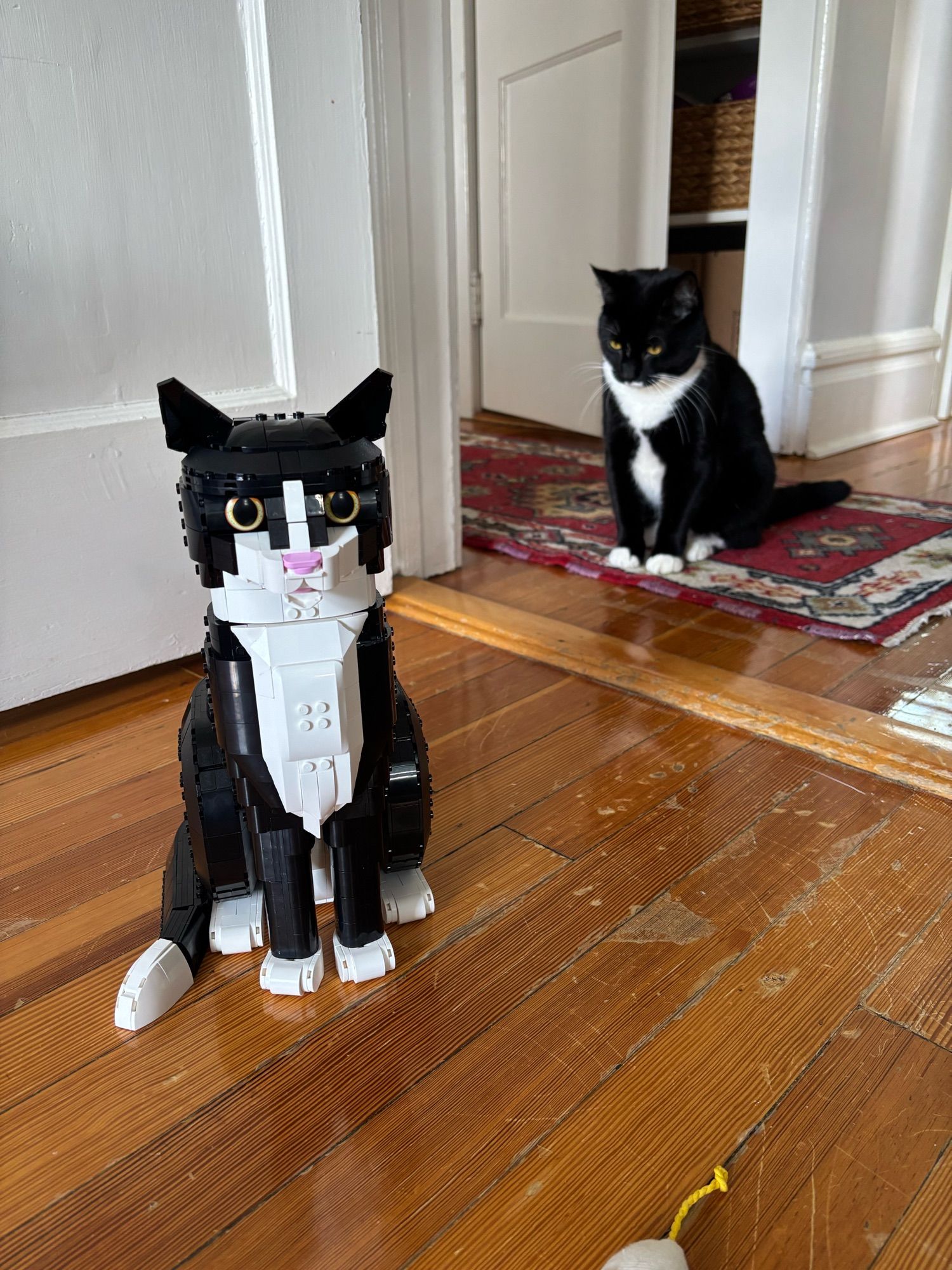 Loretta staring at a Lego tuxedo cat with malice.