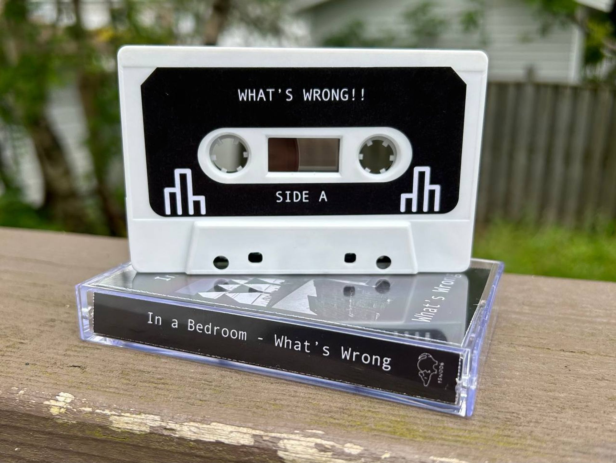 On a wooden railing sits a plastic casette case with a white casette tape standing on top. The case has a card that reads "In a Bedroom - What's Wrong" with a possum logo nearby. The tape reads "WHAT'S WRONG!! SIDE A" with some long rectangles drawn on the tape label.